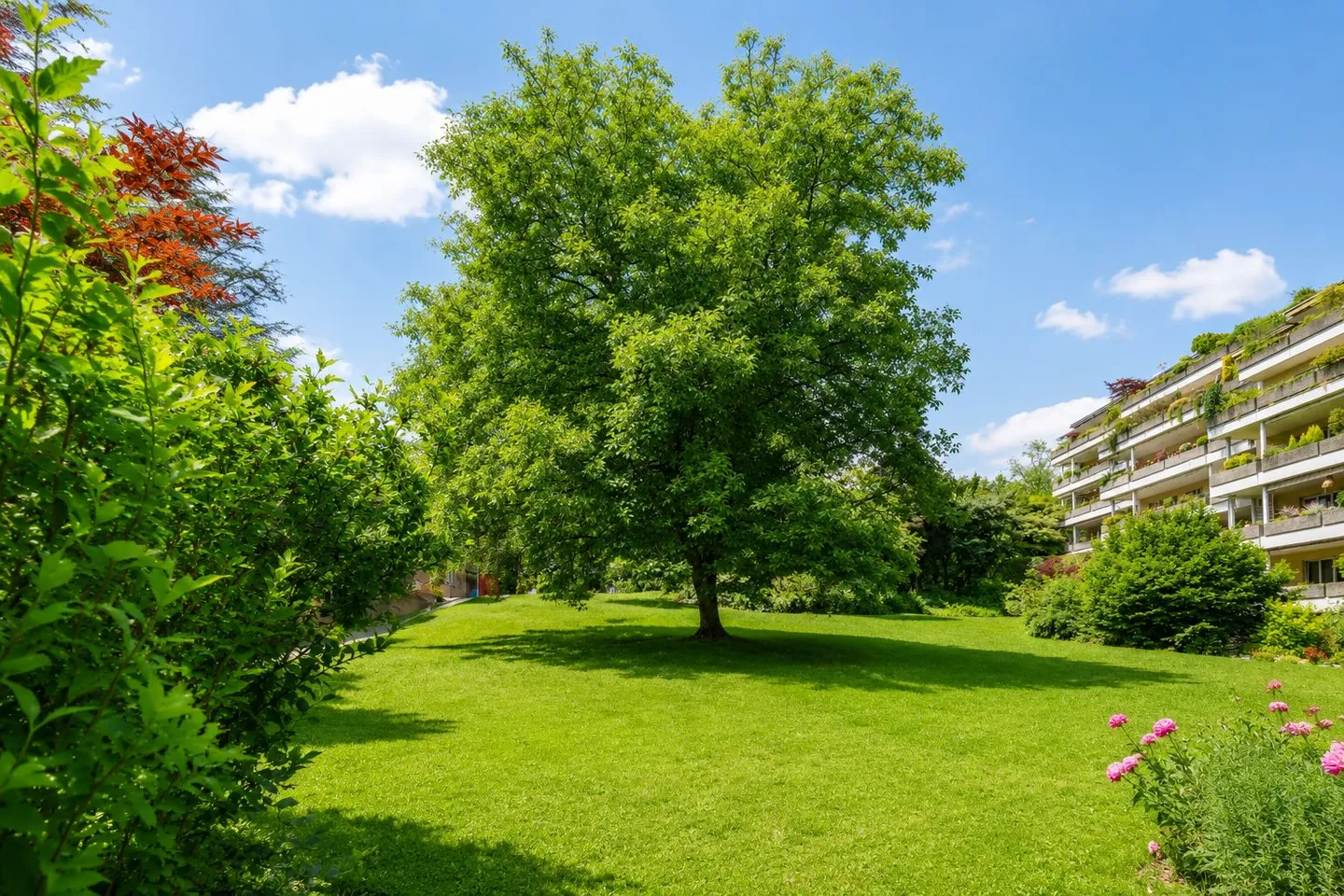Idyllische Gartenwohnung mit Potenzial - Foto 7 von 8
