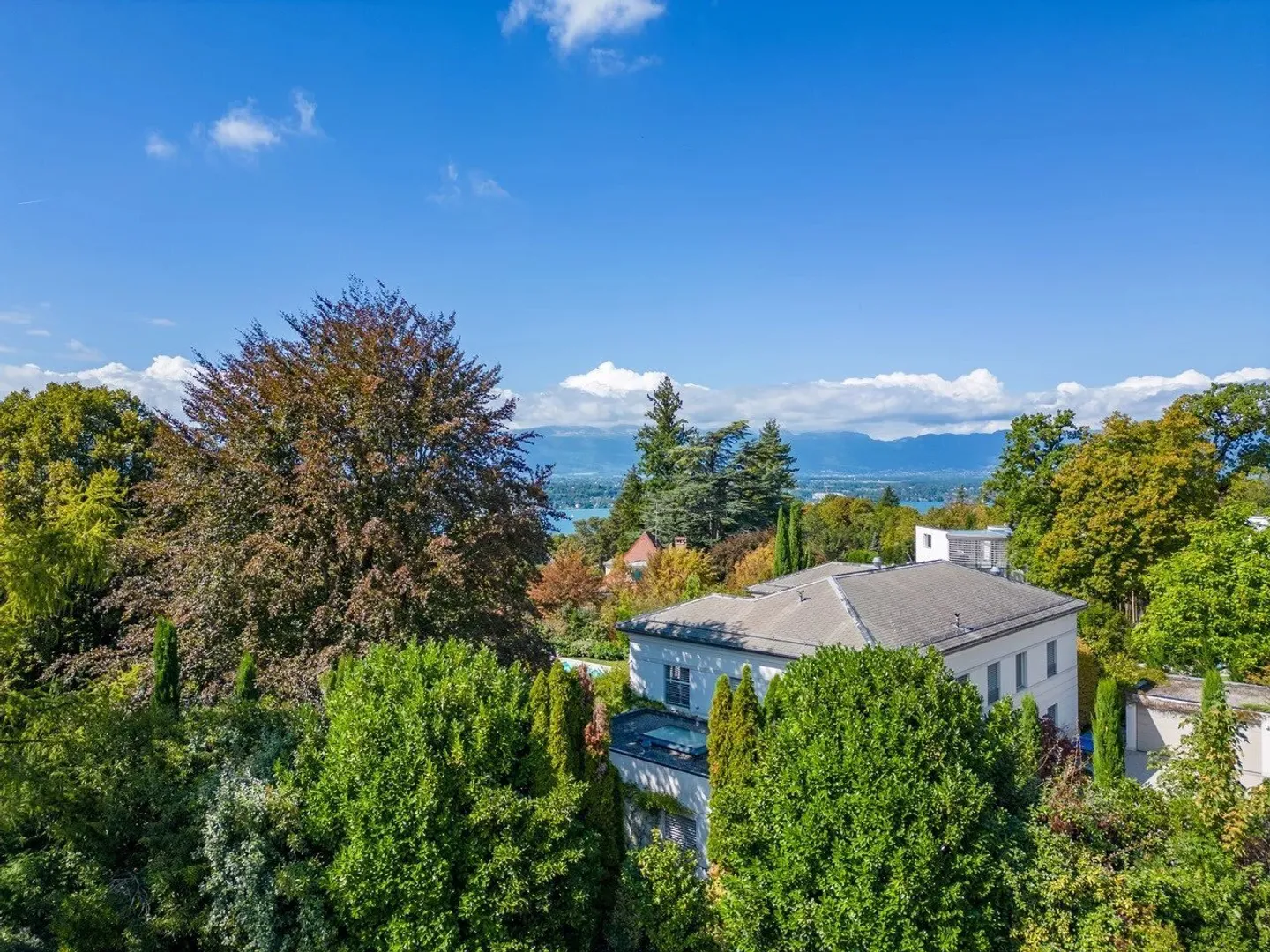 HC77 | Cologny - 3 ville urbane lussuose - Foto 2 di 13