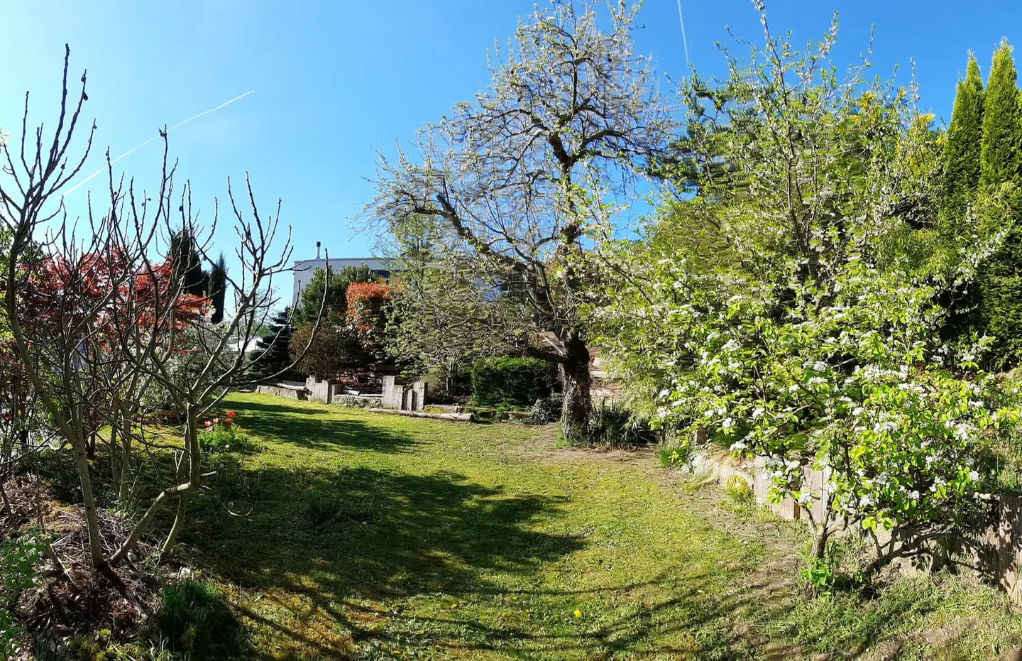 Casa a schiera con viager, occupata per 5 anni, e terreno edificabile - Foto 6 di 12