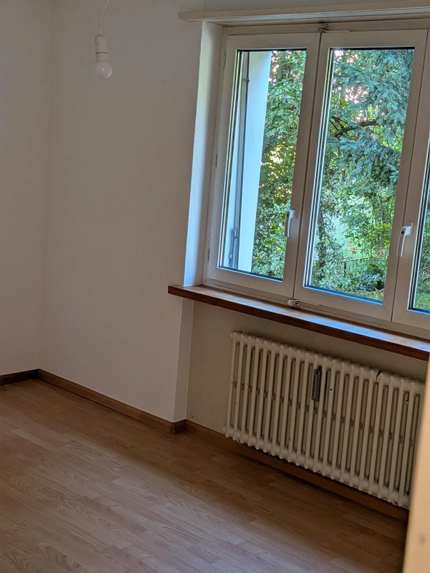 In una buona posizione con lavoro di custode (part-time) - Foto 11 di 14