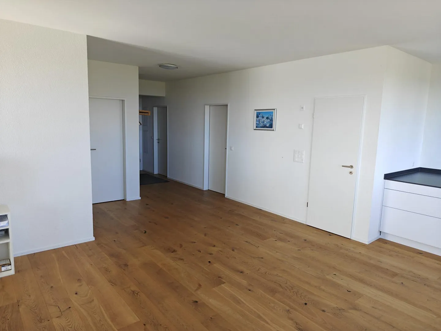 Exclusive First Occupancy: 4.5 Room Apartment with Lake View & Loft Feeling in Engelburg - Photo 11 of 19
