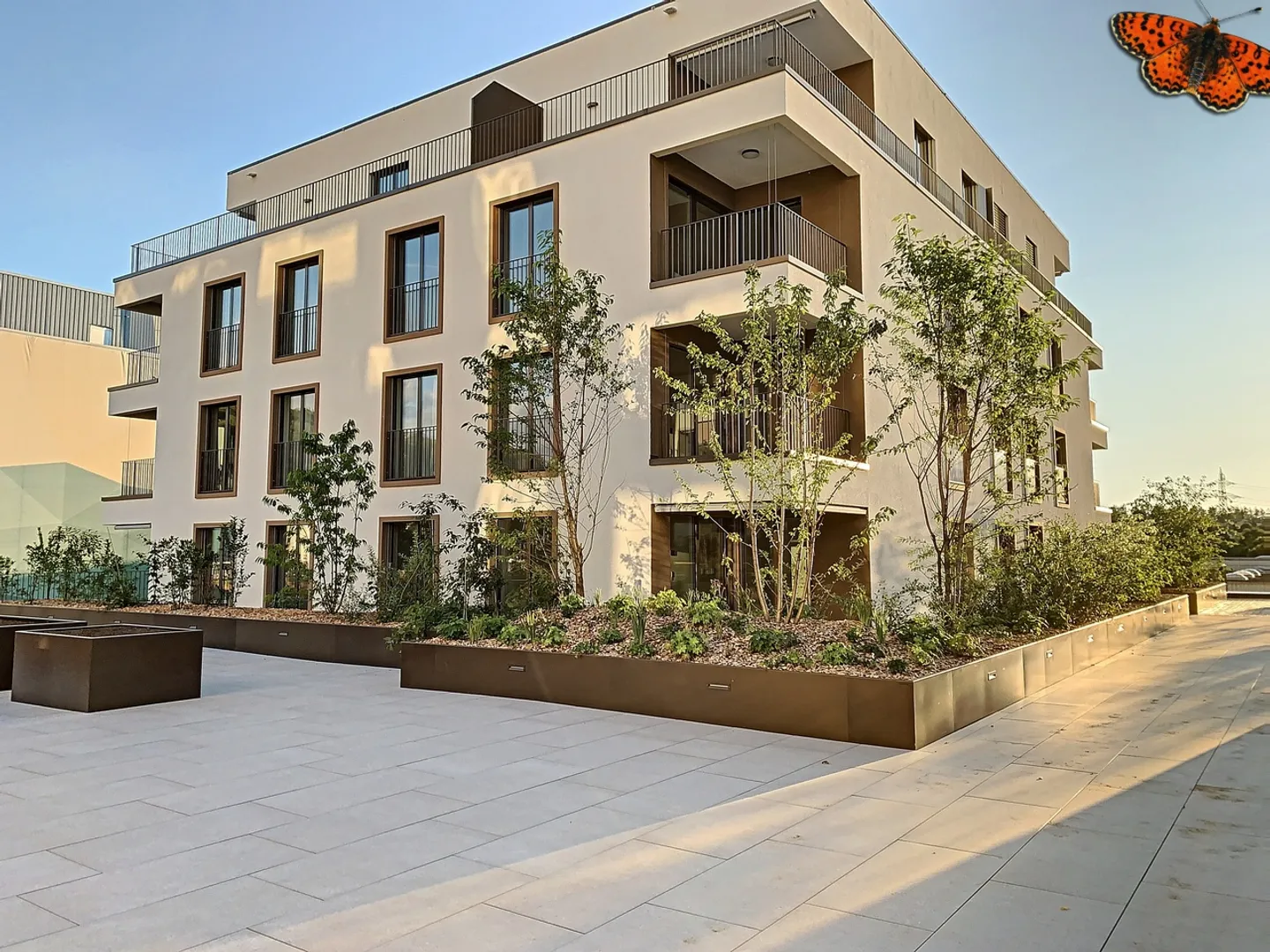 DACHGESCHOSS 2½ ZIMMER - Mit einer 27 m² Terrasse - Foto 8 von 13