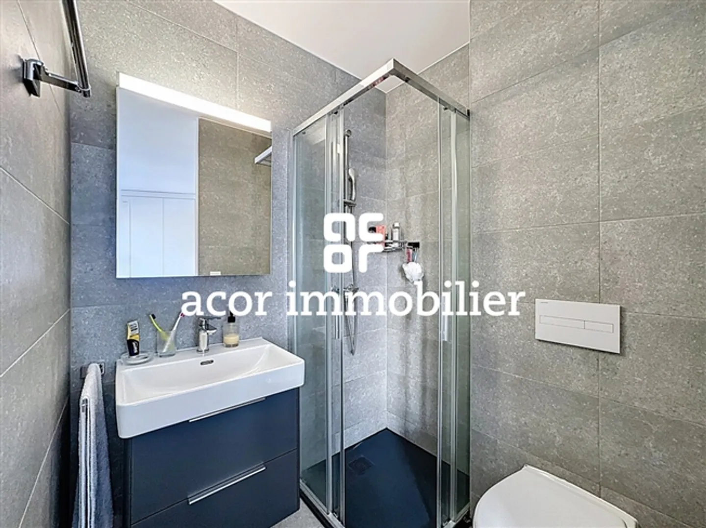 Sion West - Independent 2.5-Room Apartment with Large Terrace - Photo 8 of 11