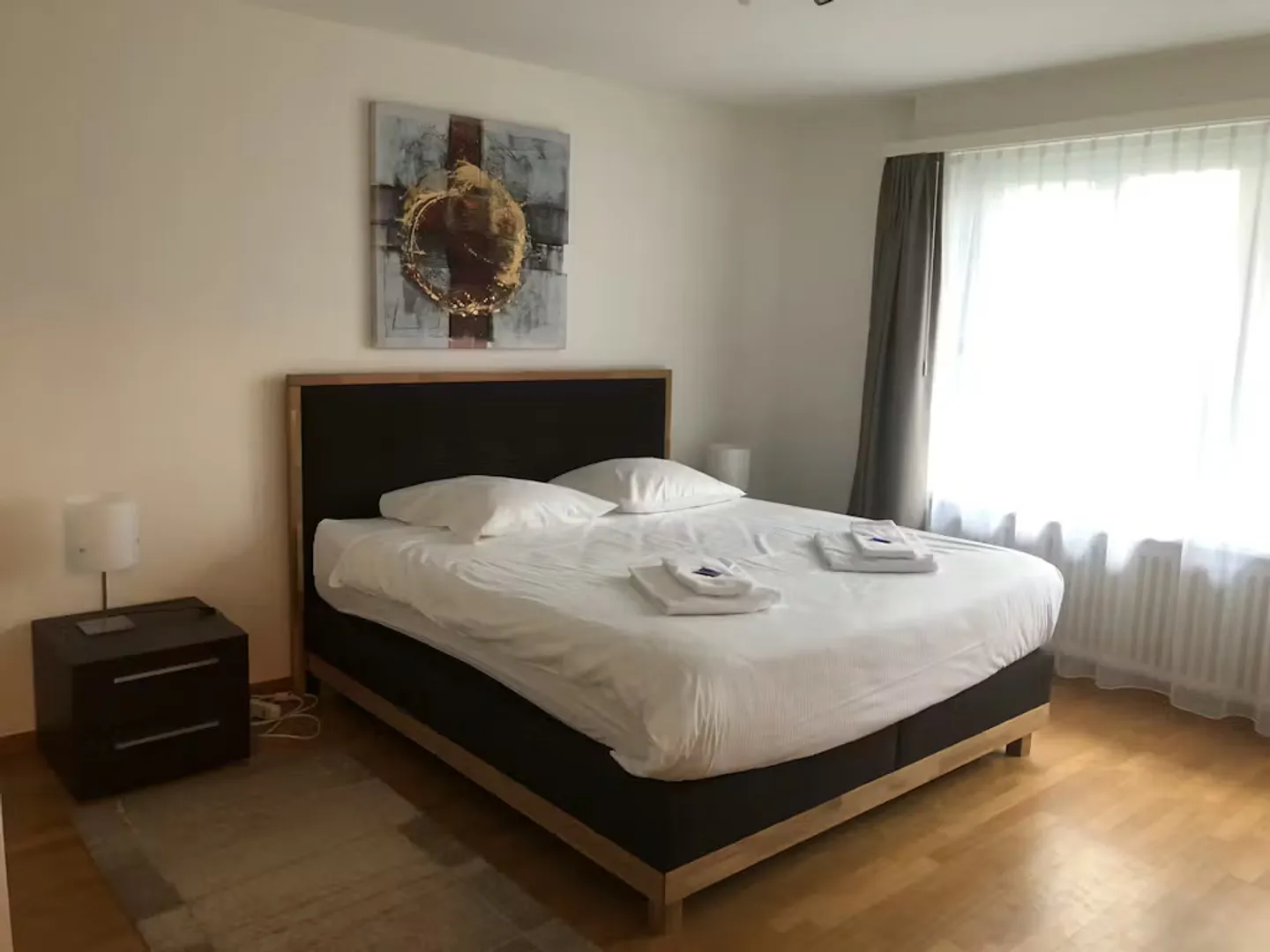 Charming Apartment in Zürich - Photo 1 of 10