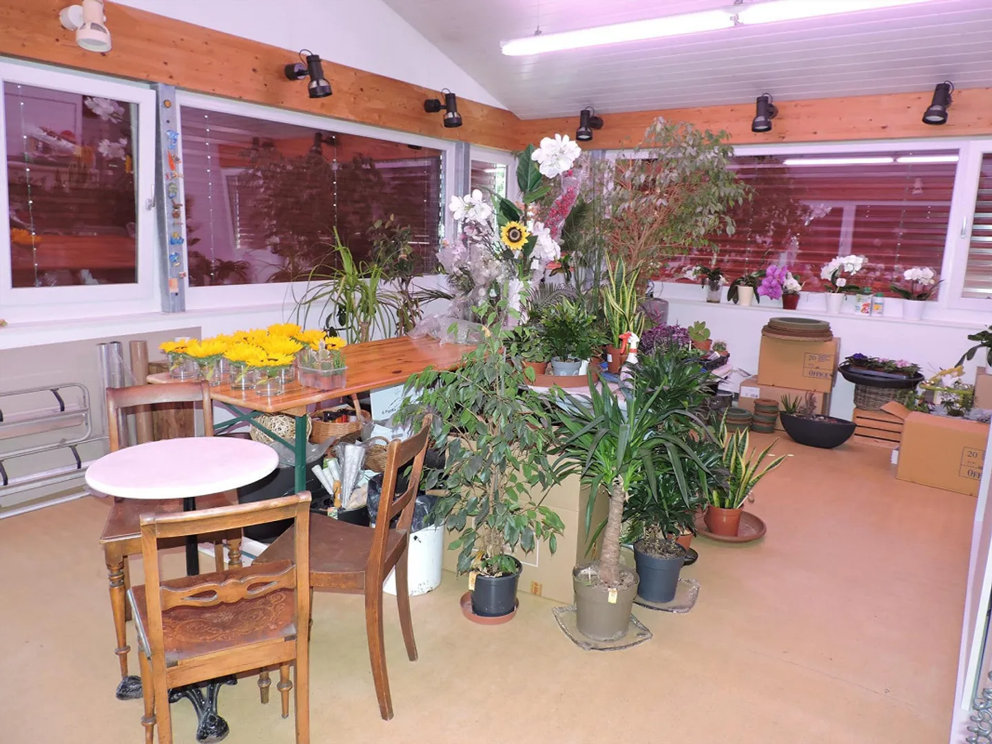 Propriété commerciale avec appartement - Photo 5 sur 9