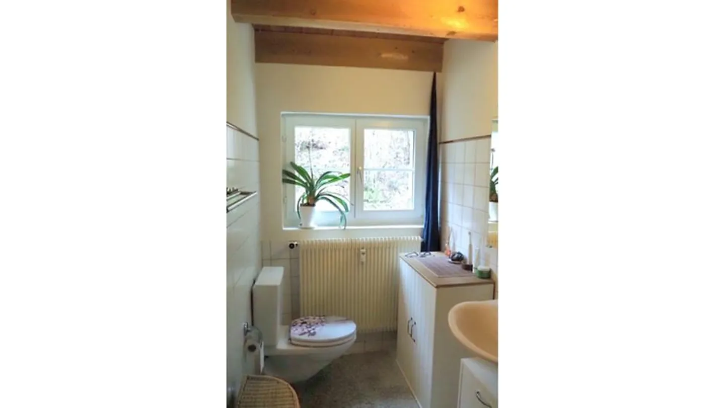 APPARTEMENT 2½ PIÈCES À LÜTISBURG (SG), MEUBLÉ, TEMPORAIRE - Photo 8 sur 10
