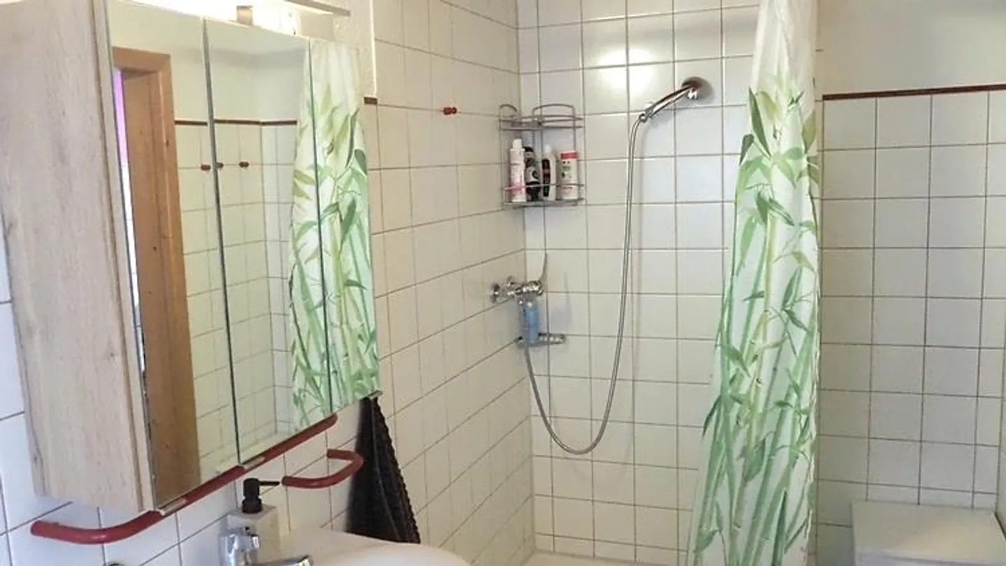 APPARTEMENT 2½ PIÈCES À LÜTISBURG (SG), MEUBLÉ, TEMPORAIRE - Photo 9 sur 10