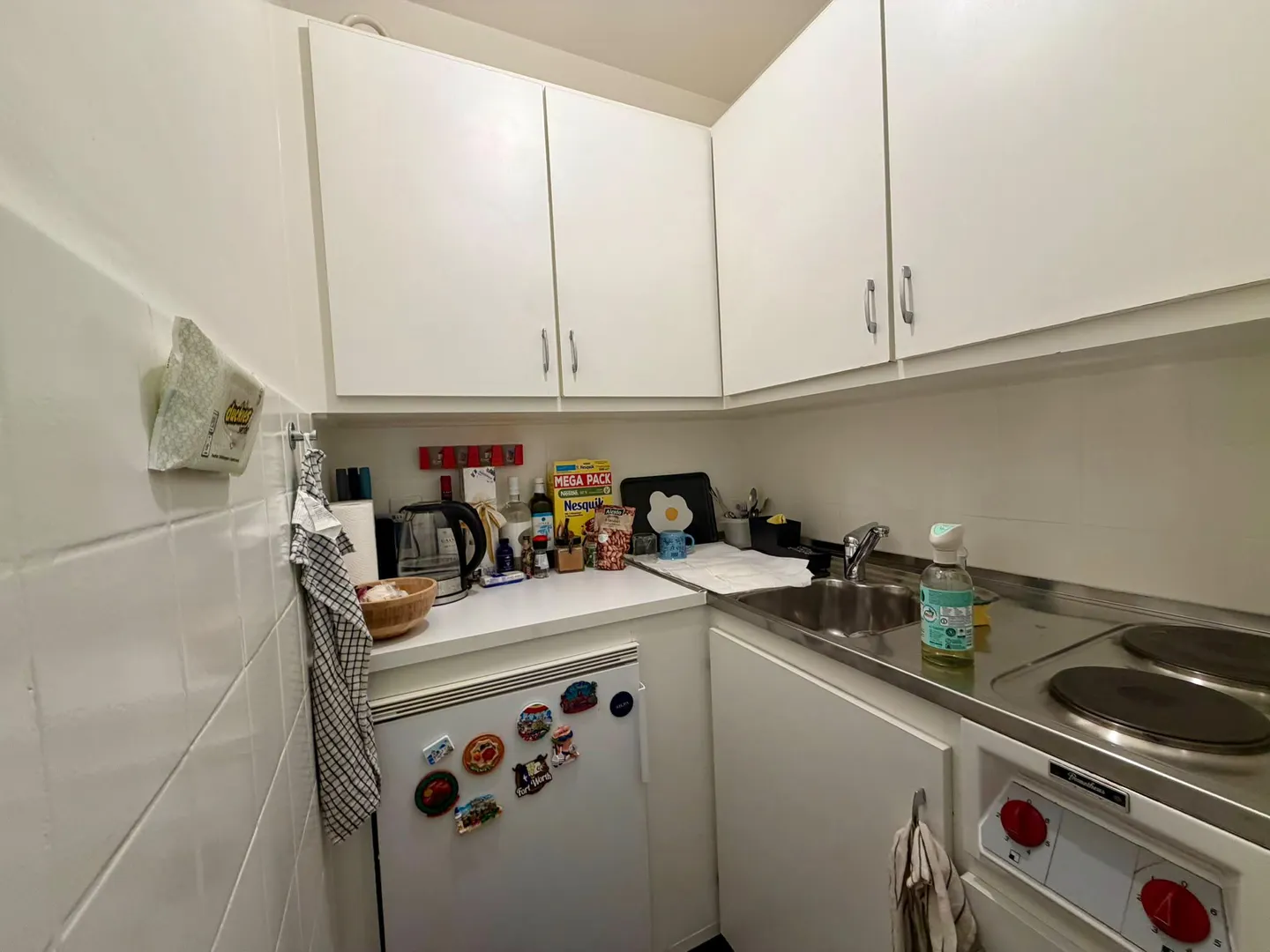 Charmant Appartement à Genève - Photo 3 sur 5