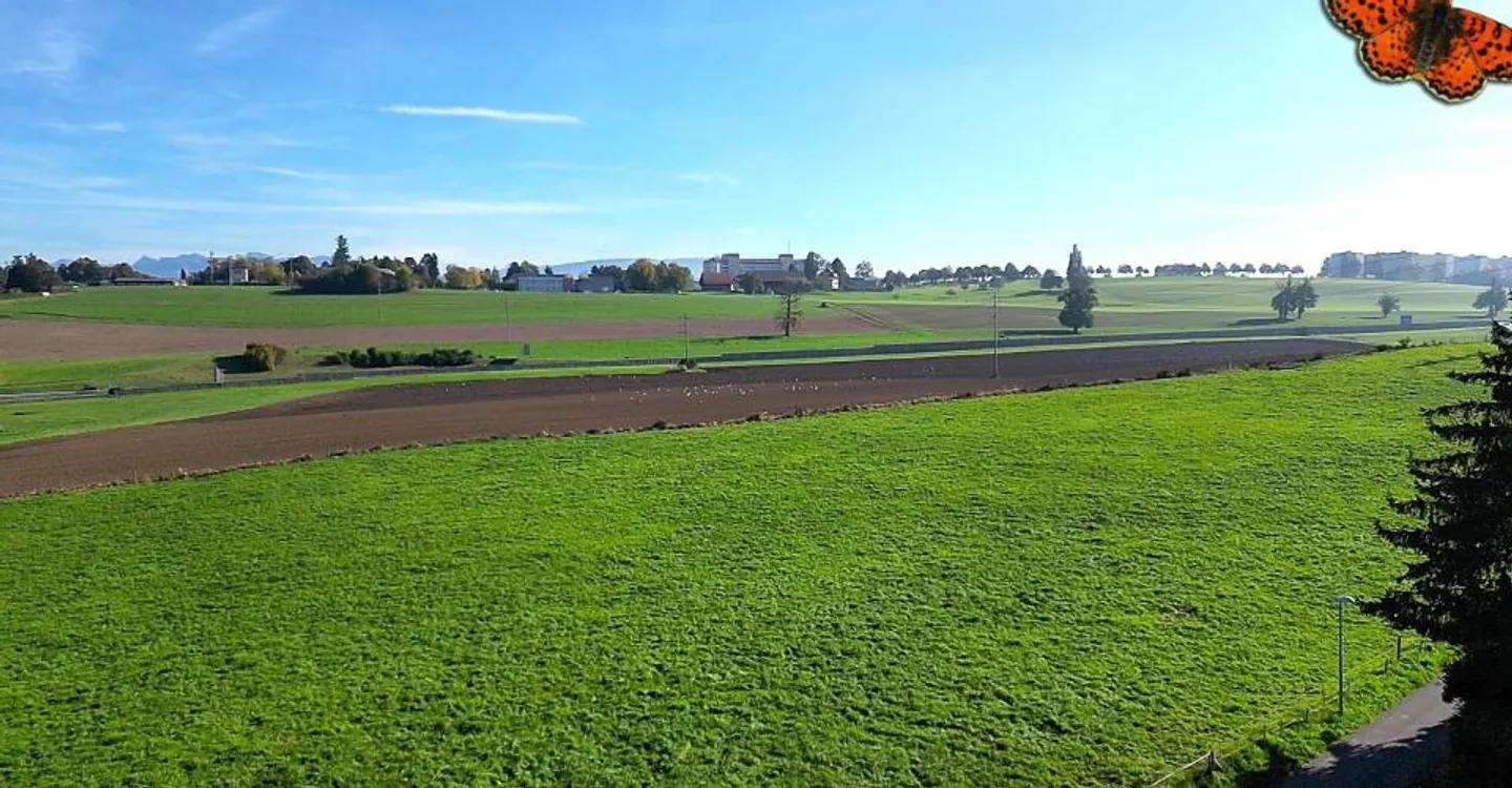 Attico di 5½ locali a Givisiez con terrazza di 104 m² - Foto 7 di 11