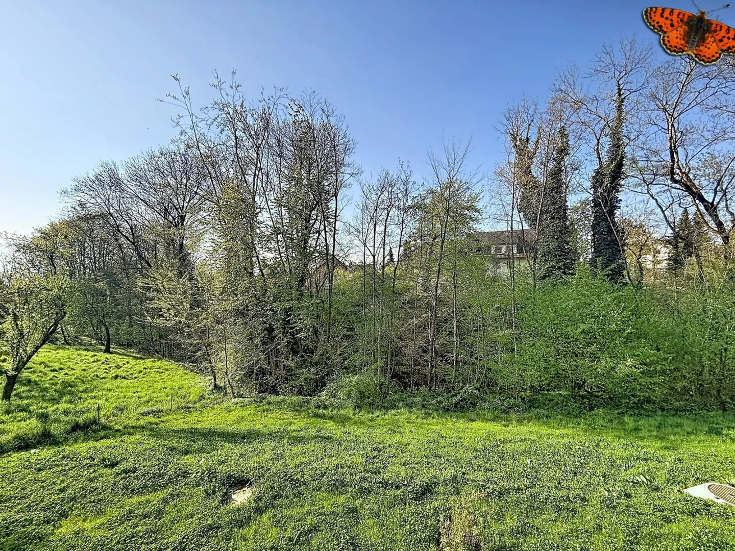 2½ IN DUPLEX - Nuovo e Tranquillo - Foto 5 di 10