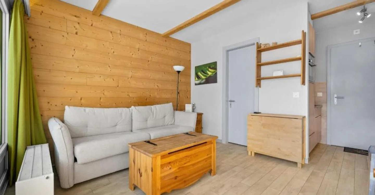 1.5 Room Ski-in Ski-out Apartment - Photo 2 of 8