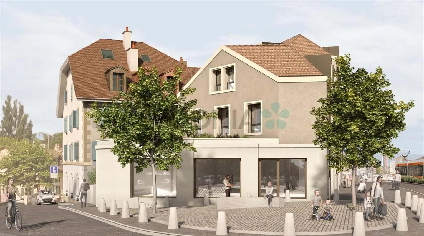 Zu verkaufen 3 Zimmer auf dem Dachboden von 75m2 insgesamt 119 m² Fußbodengrundfläche in PPE im Herzen von Chêne-Bourg - Foto 3 von 3