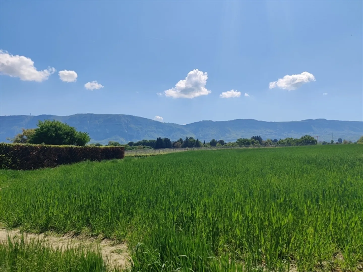 «Schönes Einfamilienhaus in Lancy» - Foto 1 von 1