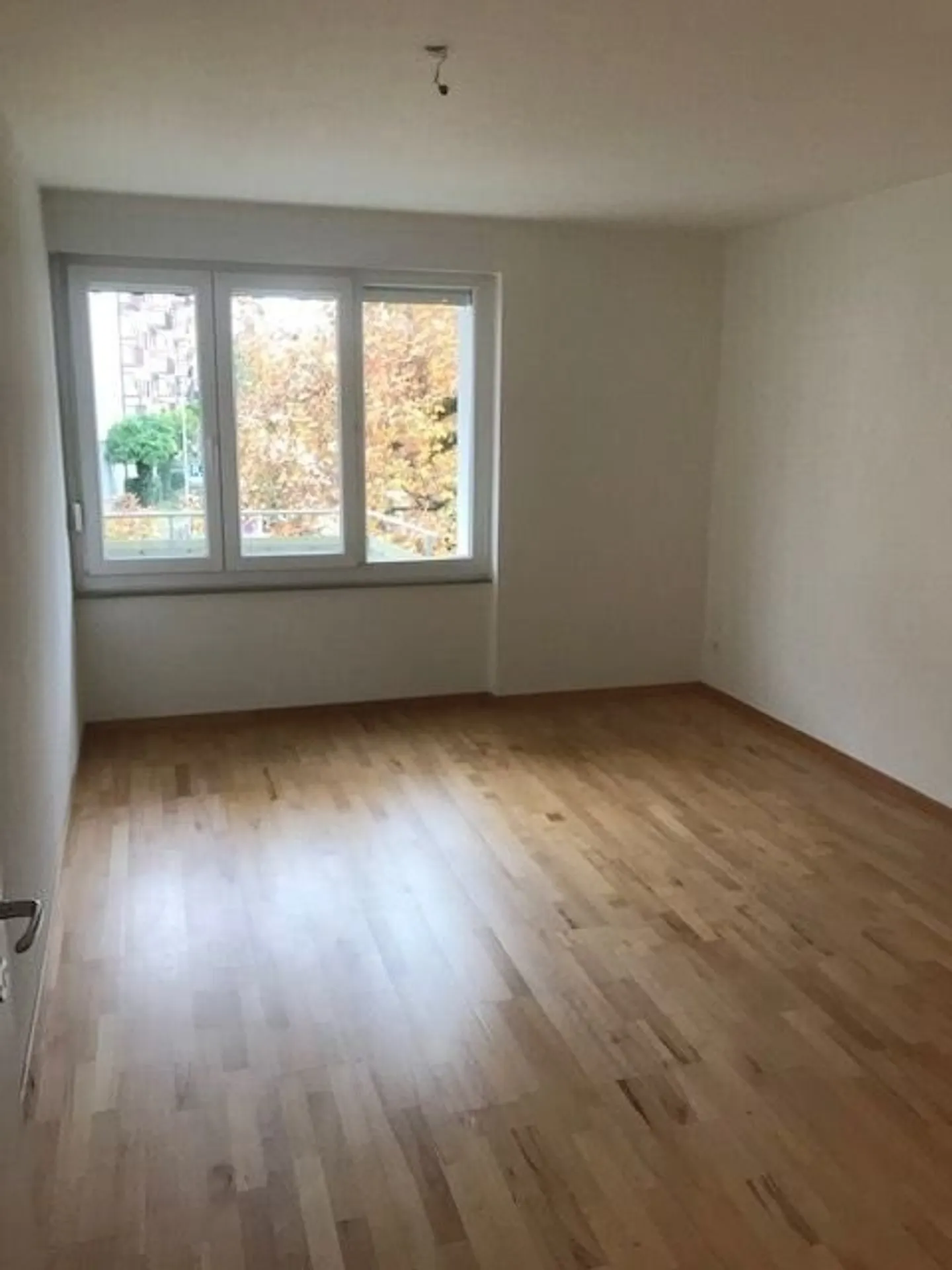 Vivere lungo l'Aare - Foto 4 di 8