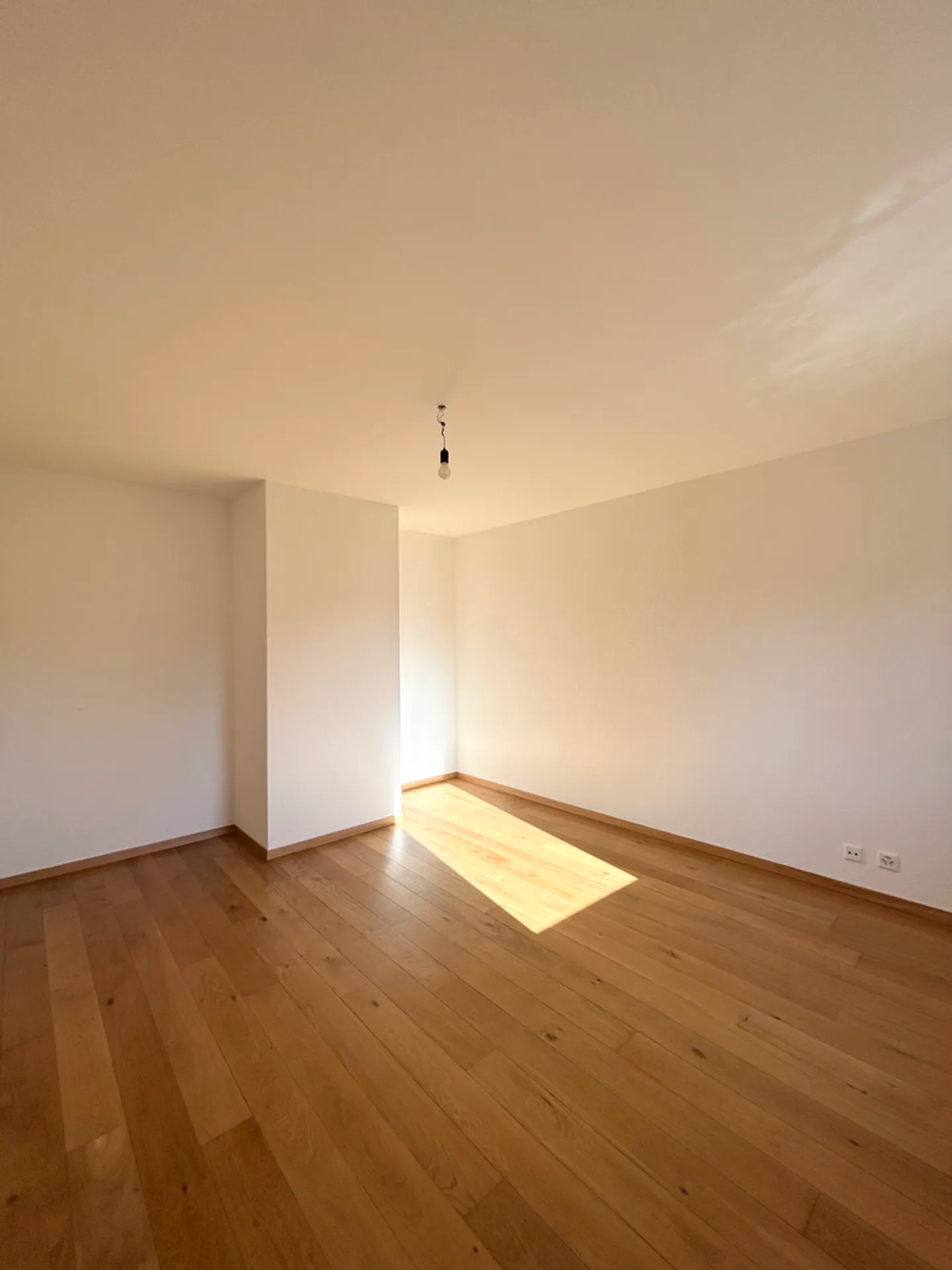 Appartement 4.5 pièces - Photo 4 sur 12