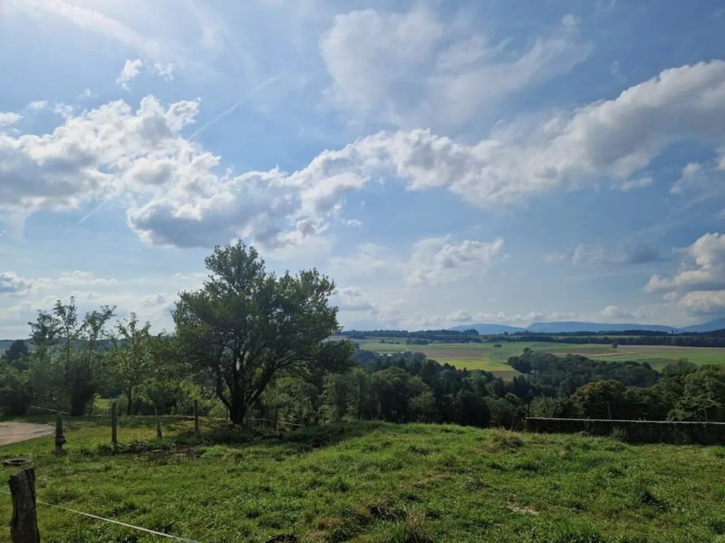 Appartamento duplex nuovo di 3,5 locali a Bioley-Magnoux - Foto 9 di 13