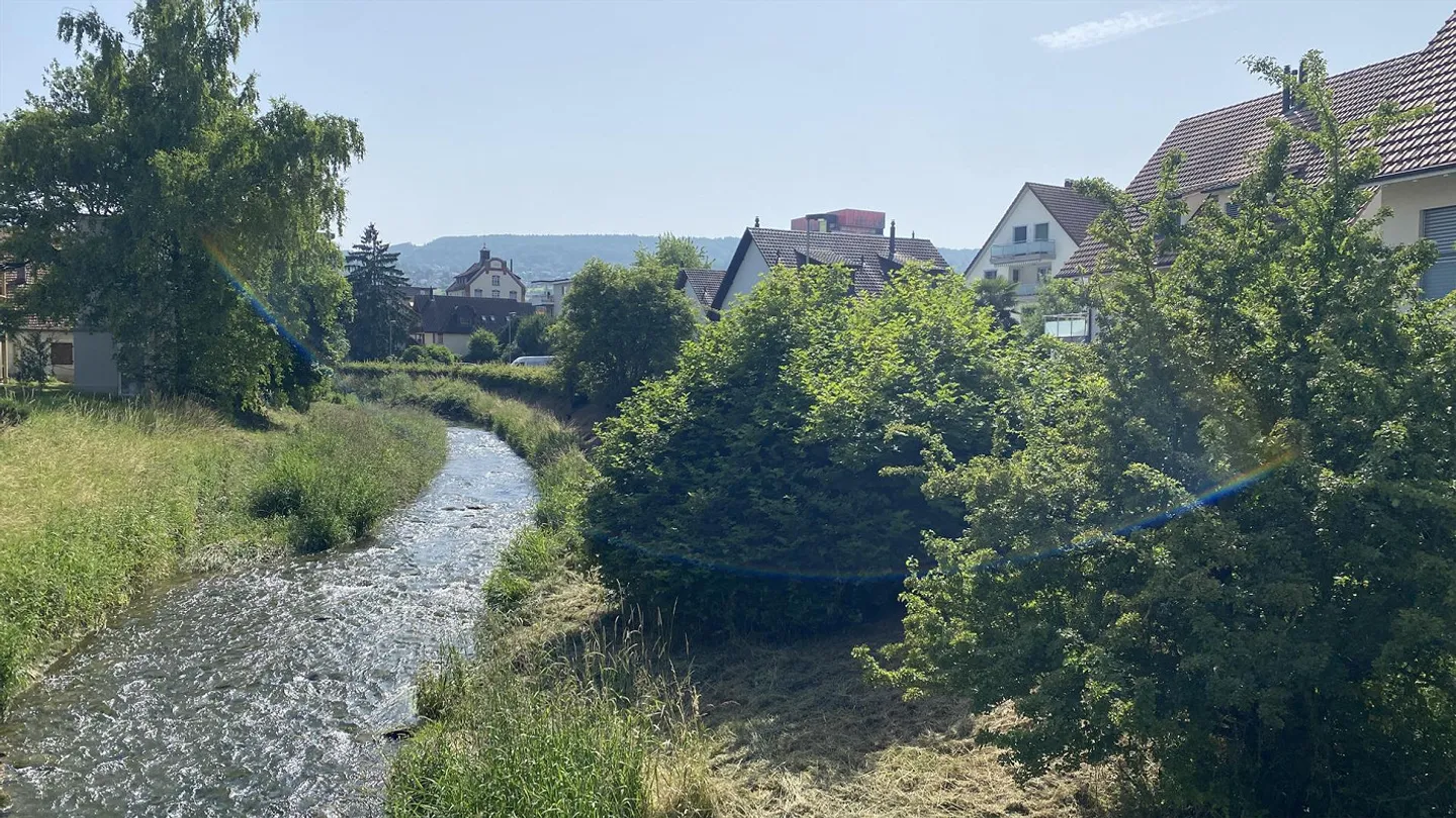 Dachwohnung mit Cheminée im Herzen von Dietikon - Foto 4 von 10