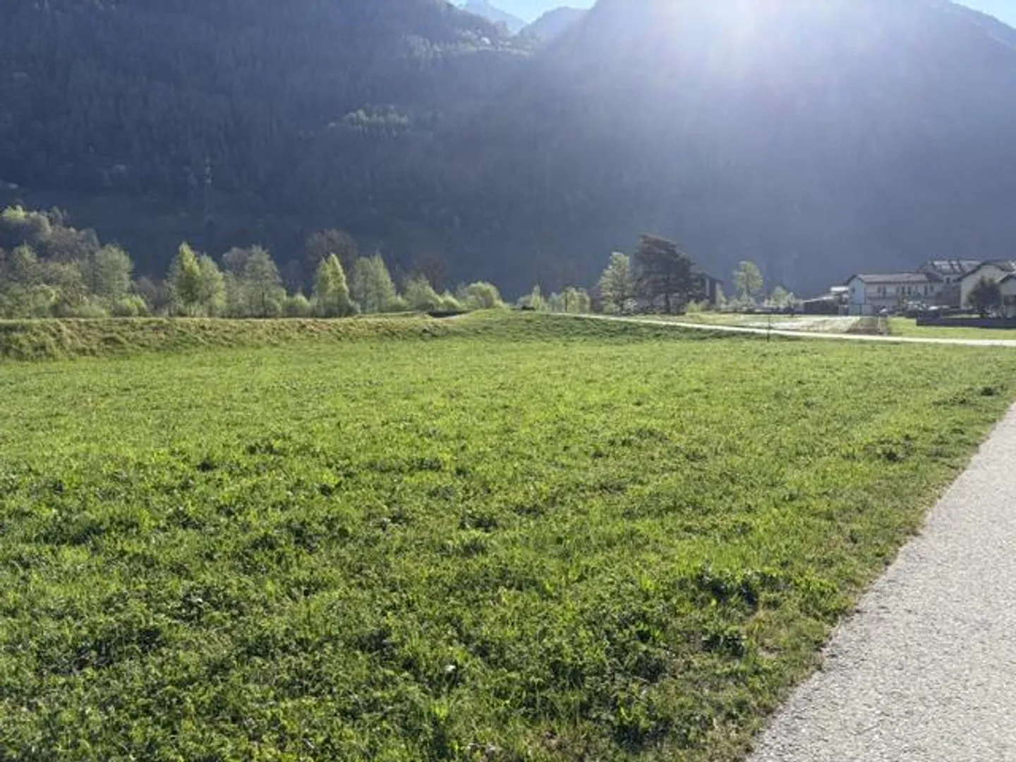Baugrundstück in Valposchiavo - Foto 2 von 3