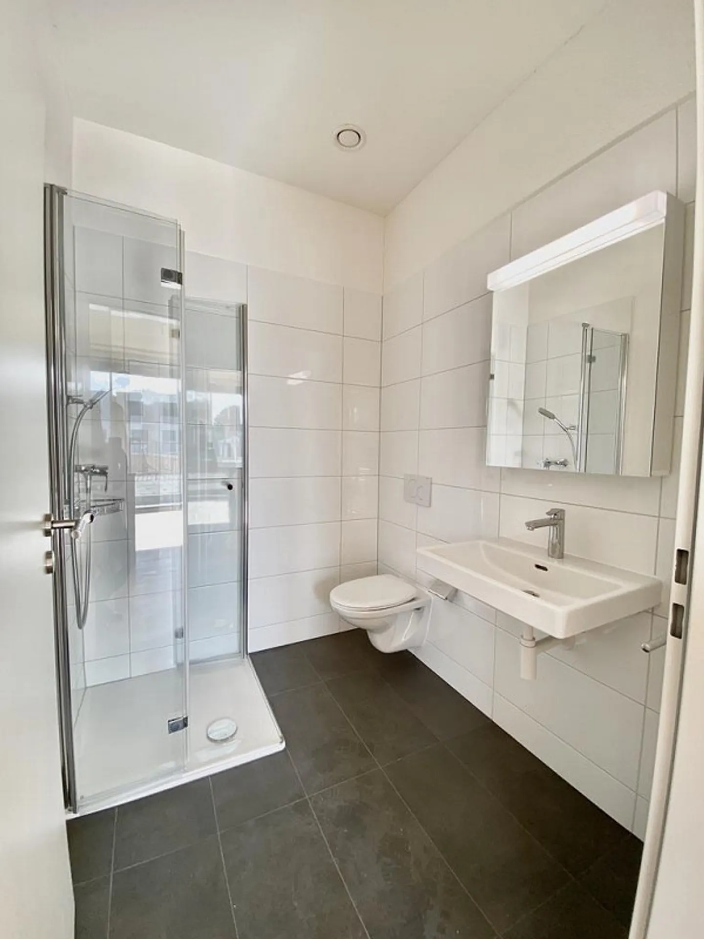 Appartement en duplex unique et moderne sur la Birs - Photo 4 sur 11