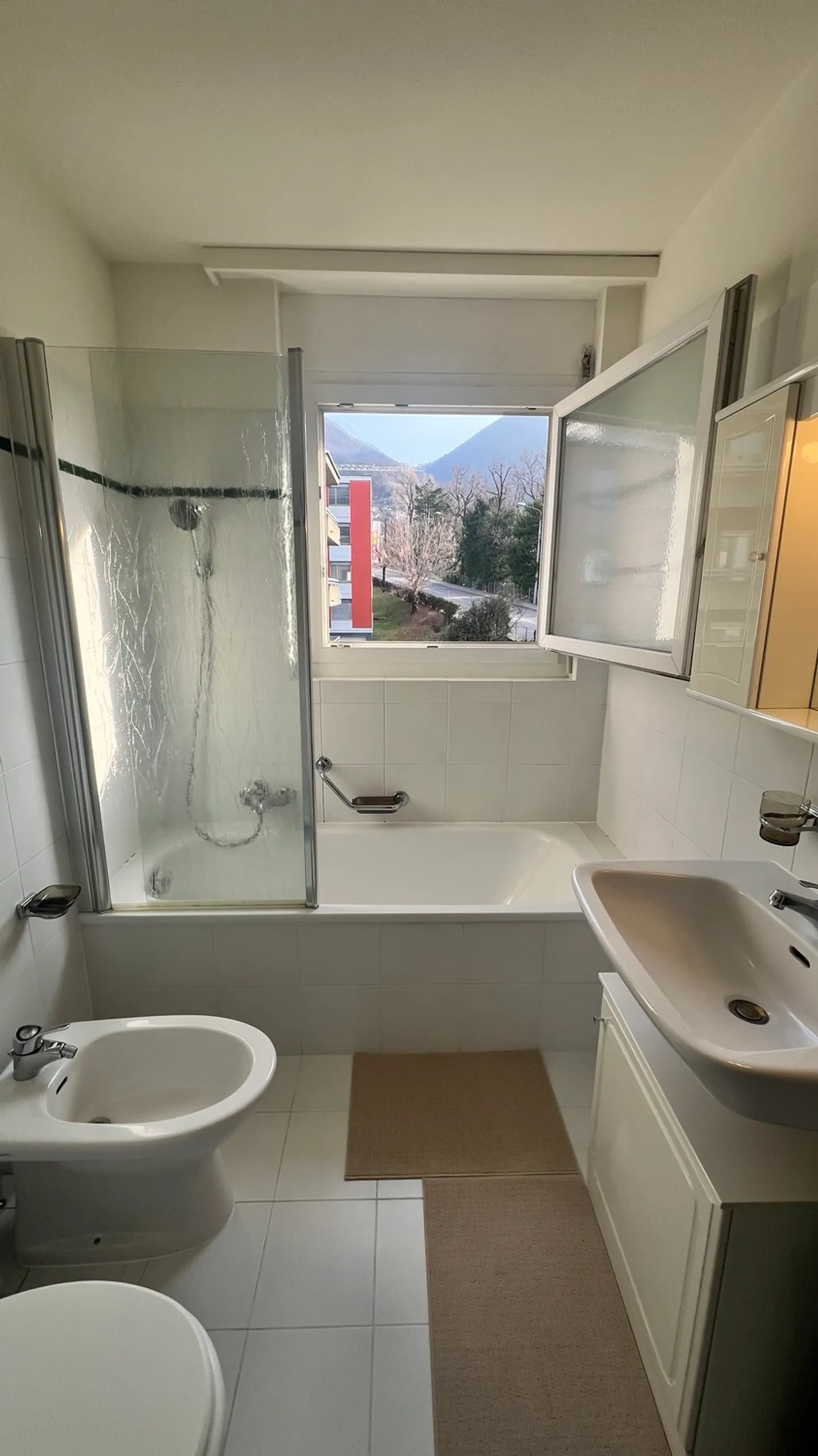 APPARTAMENTO 3½ LOCALI A PREGASSONA (TI), ARREDATO - Foto 9 di 10