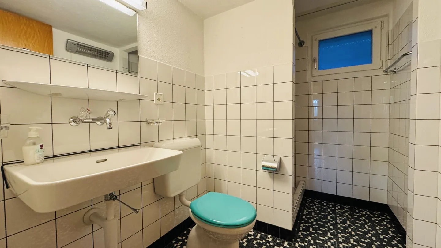 Detached 5.5-room house for 1-2 families - Garage, large garden, panoramic view - Photo 11 of 14