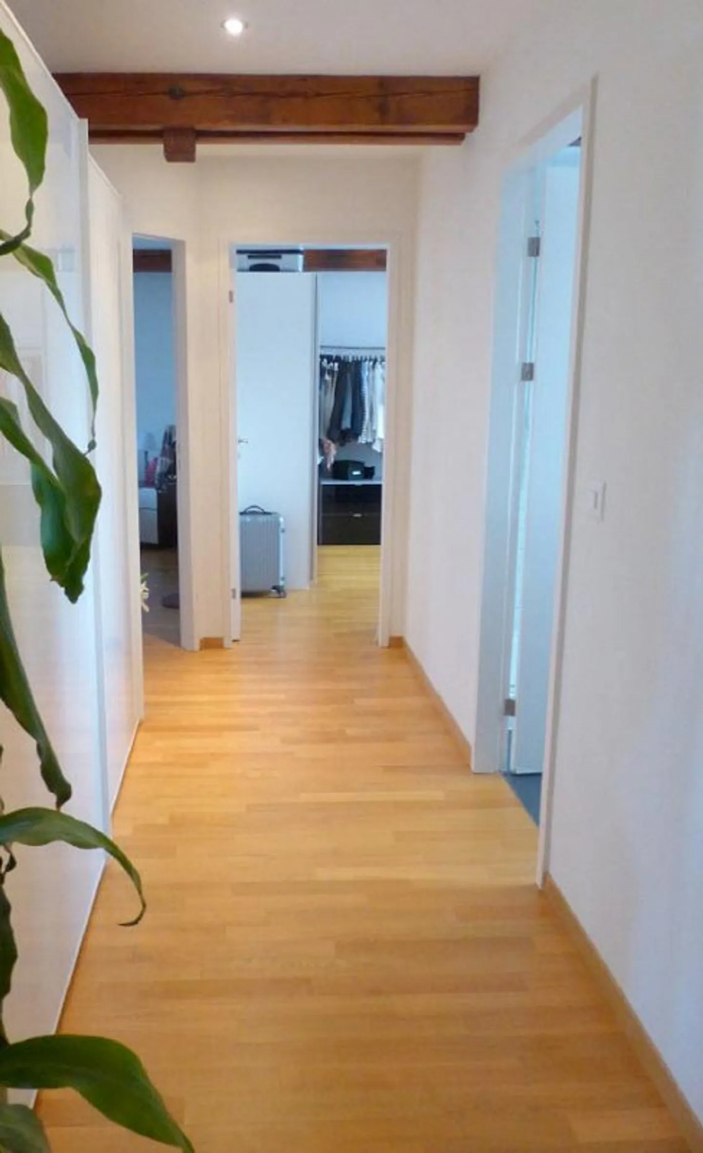 Top-Floor Apartment with Terrace - Photo 5 of 10