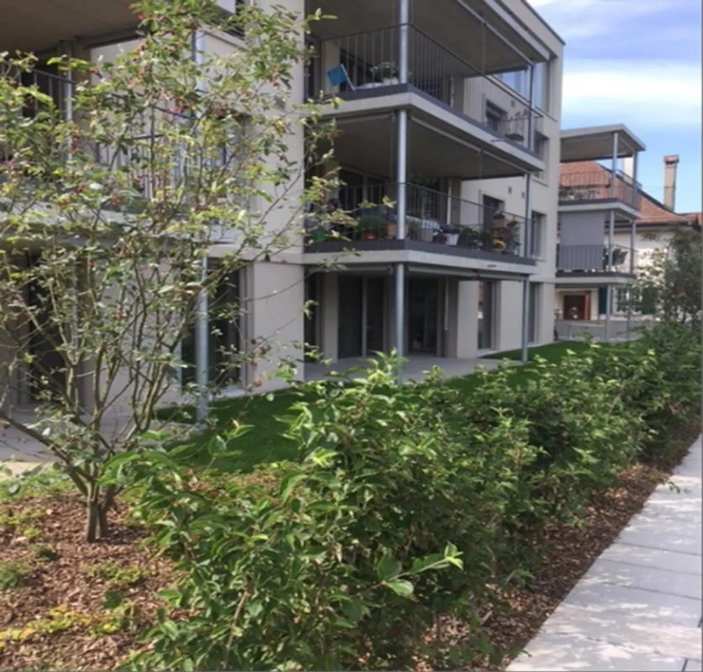 Flexible office/practice spaces 193m2 for rent - Photo 6 of 10