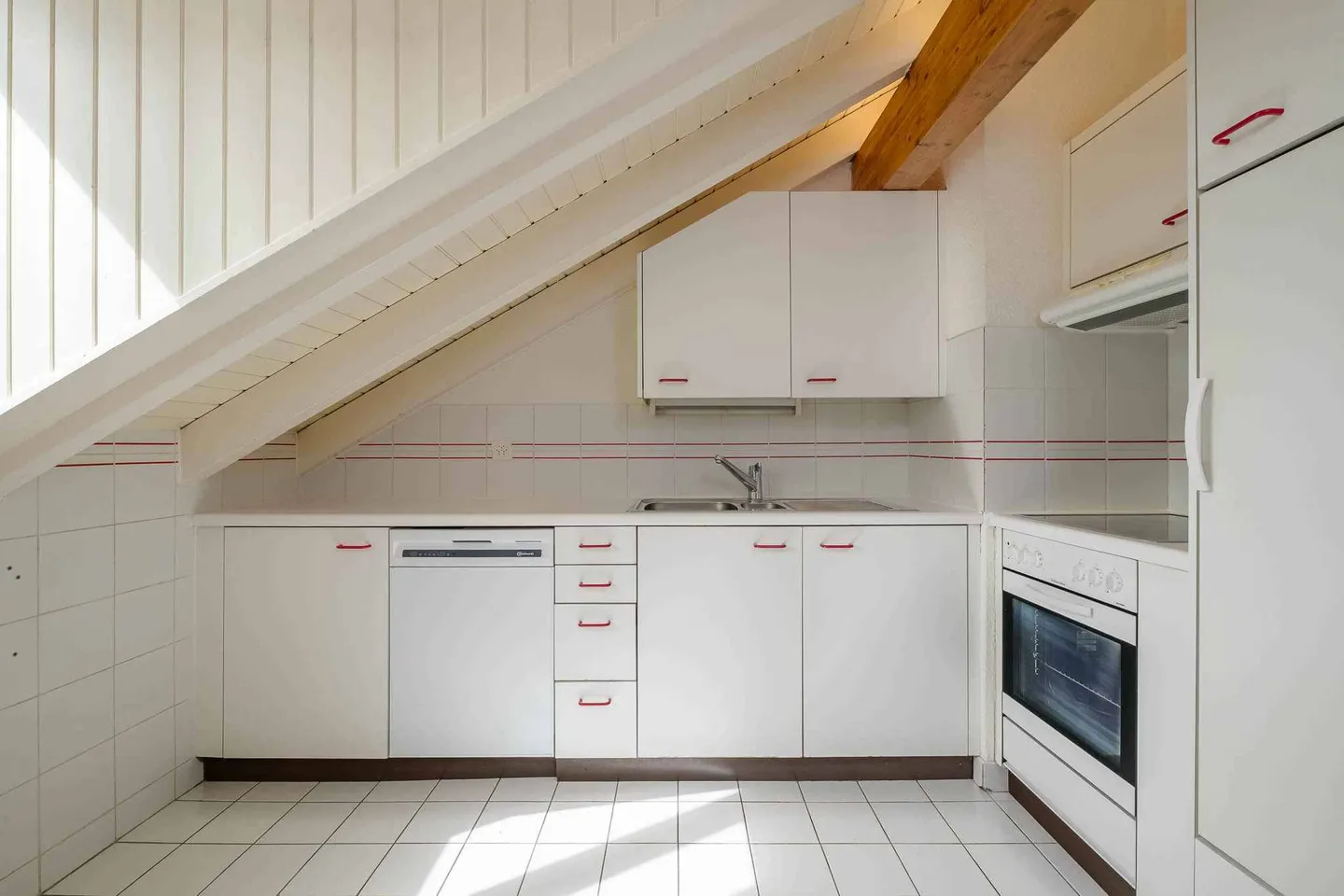 Charming Apartment in Carouge - Photo 3 of 12
