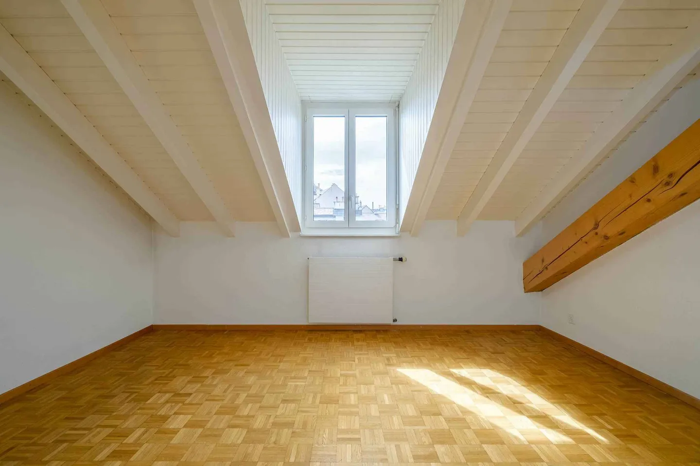 Charming Apartment in Carouge - Photo 5 of 12