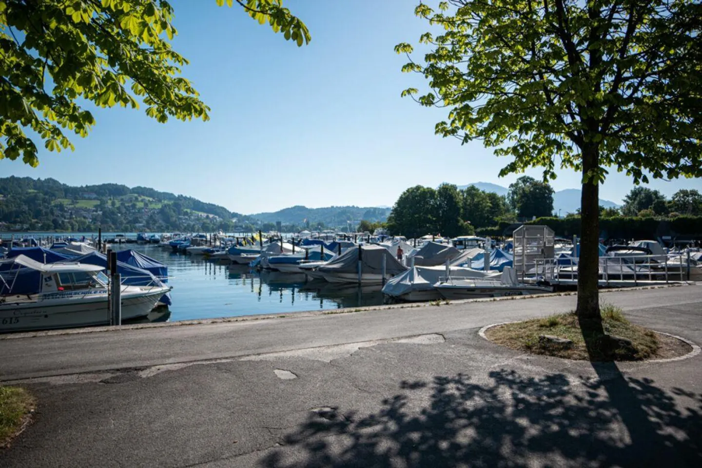 Votre opportunité | Espace commercial avec vue sur le lac - Photo 10 sur 15