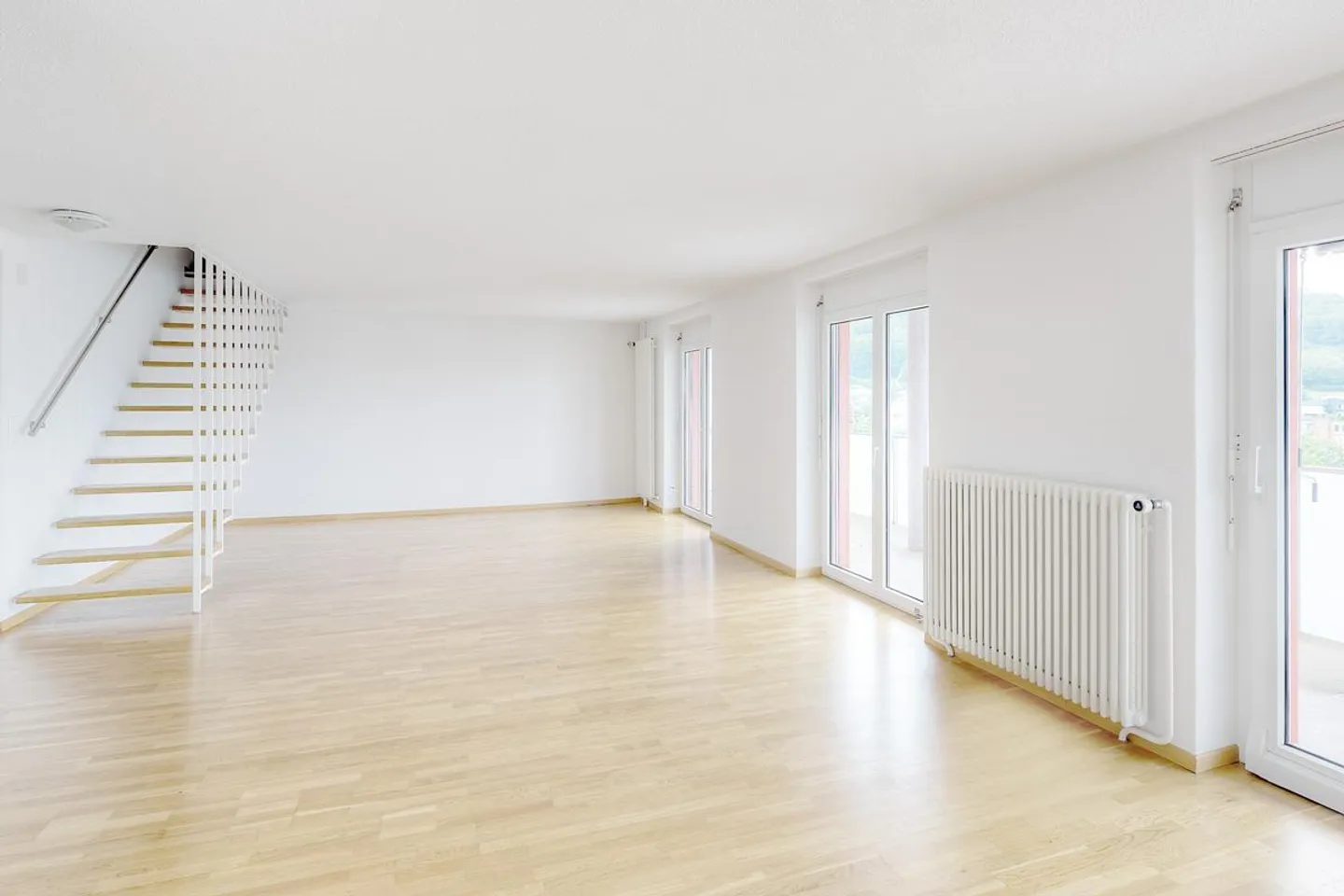 Sopra i tetti di Olten! - Foto 1 di 10