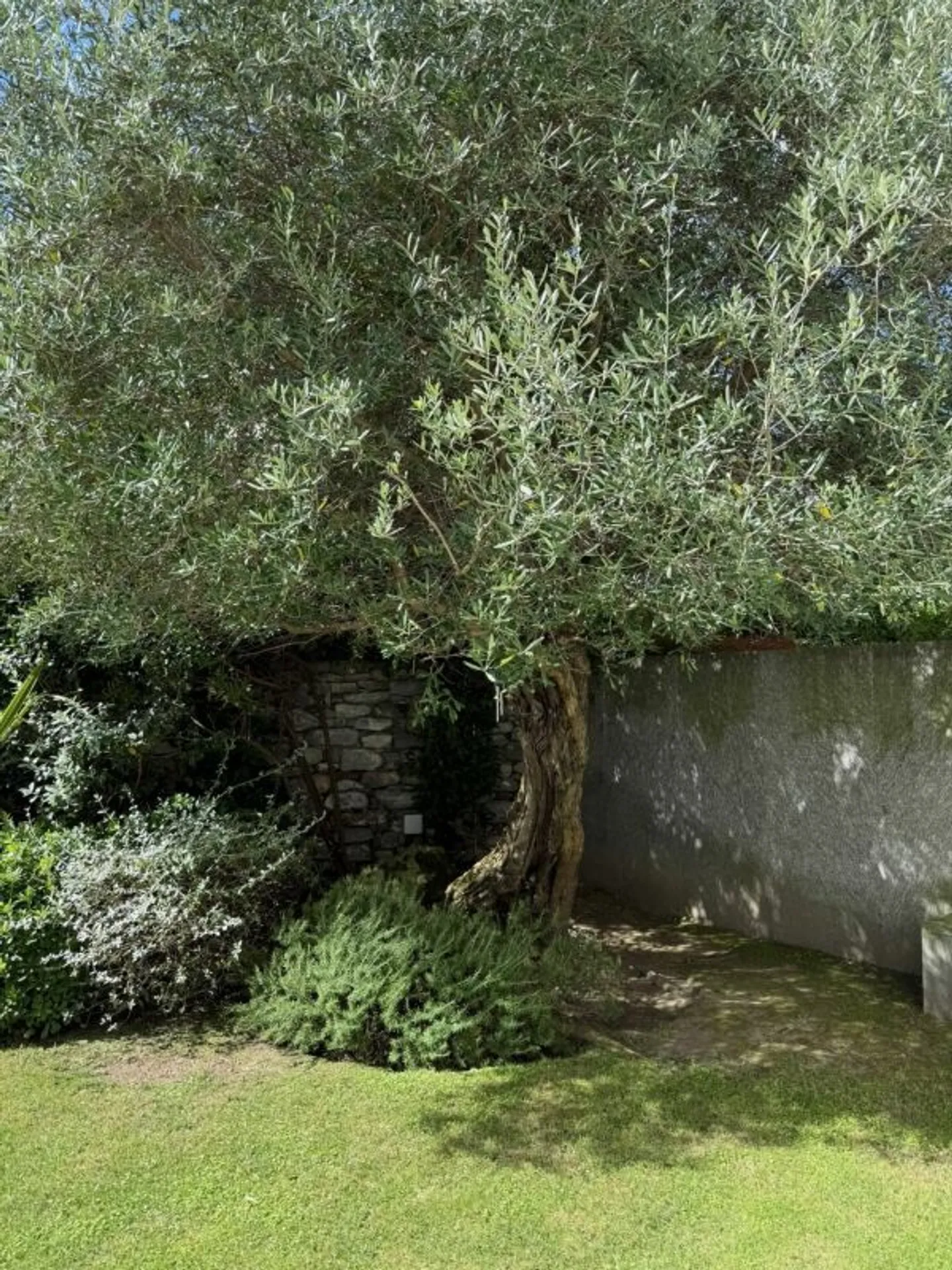 Ascona - 3.5 Room Apartment of the Highest Standard in the Historic Town Center - Photo 14 of 14