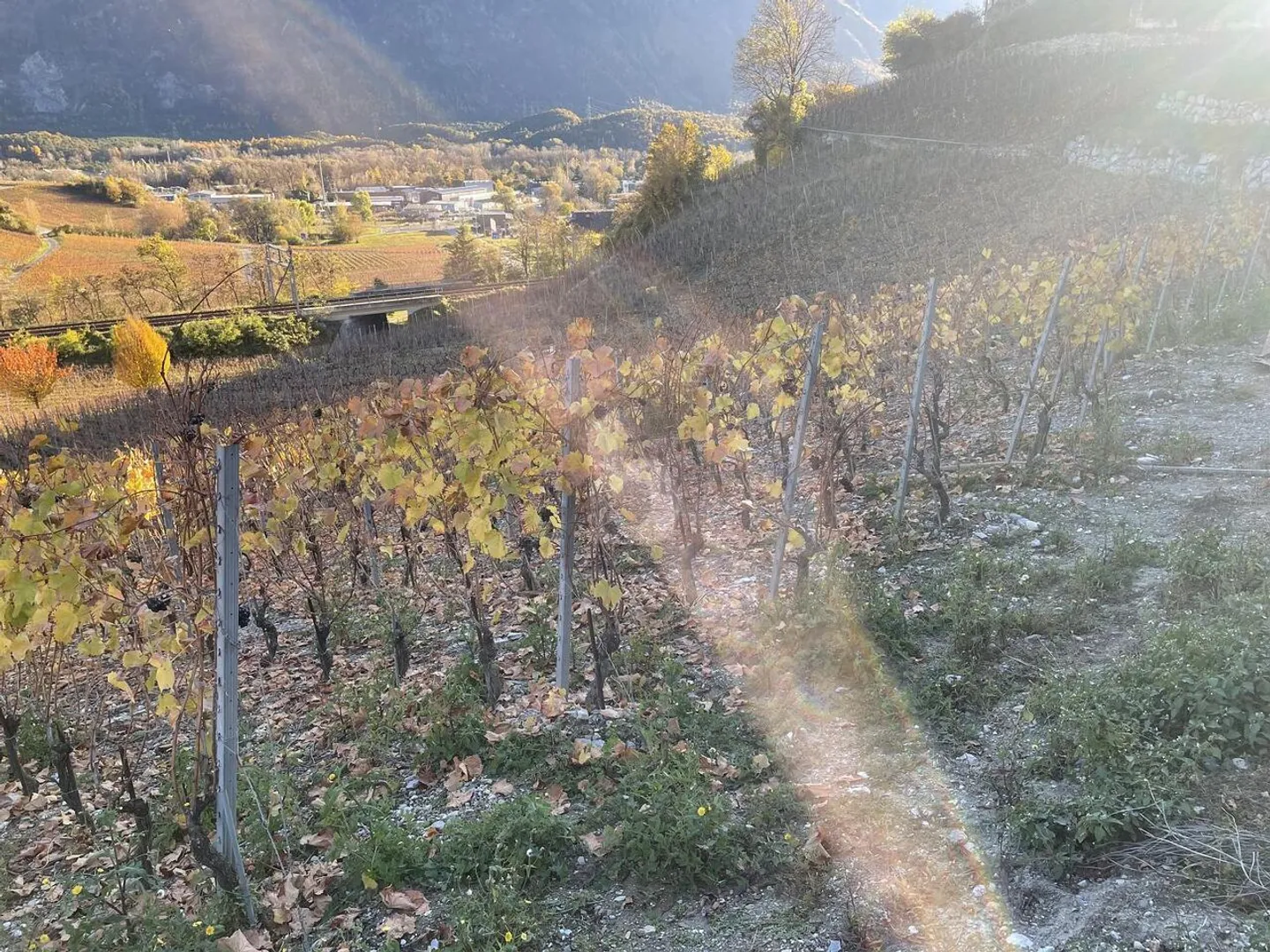 NEL MEZZO DEI VIGNETI PITTORESCHI - Foto 2 di 6