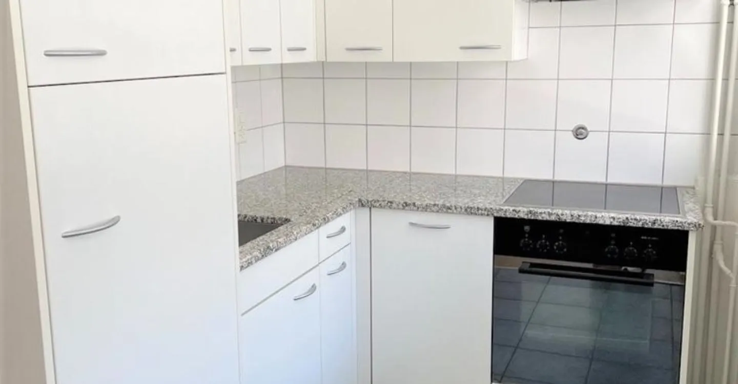 Eaux-Vives: schöne Wohnung mit Balkon - Foto 3 von 11