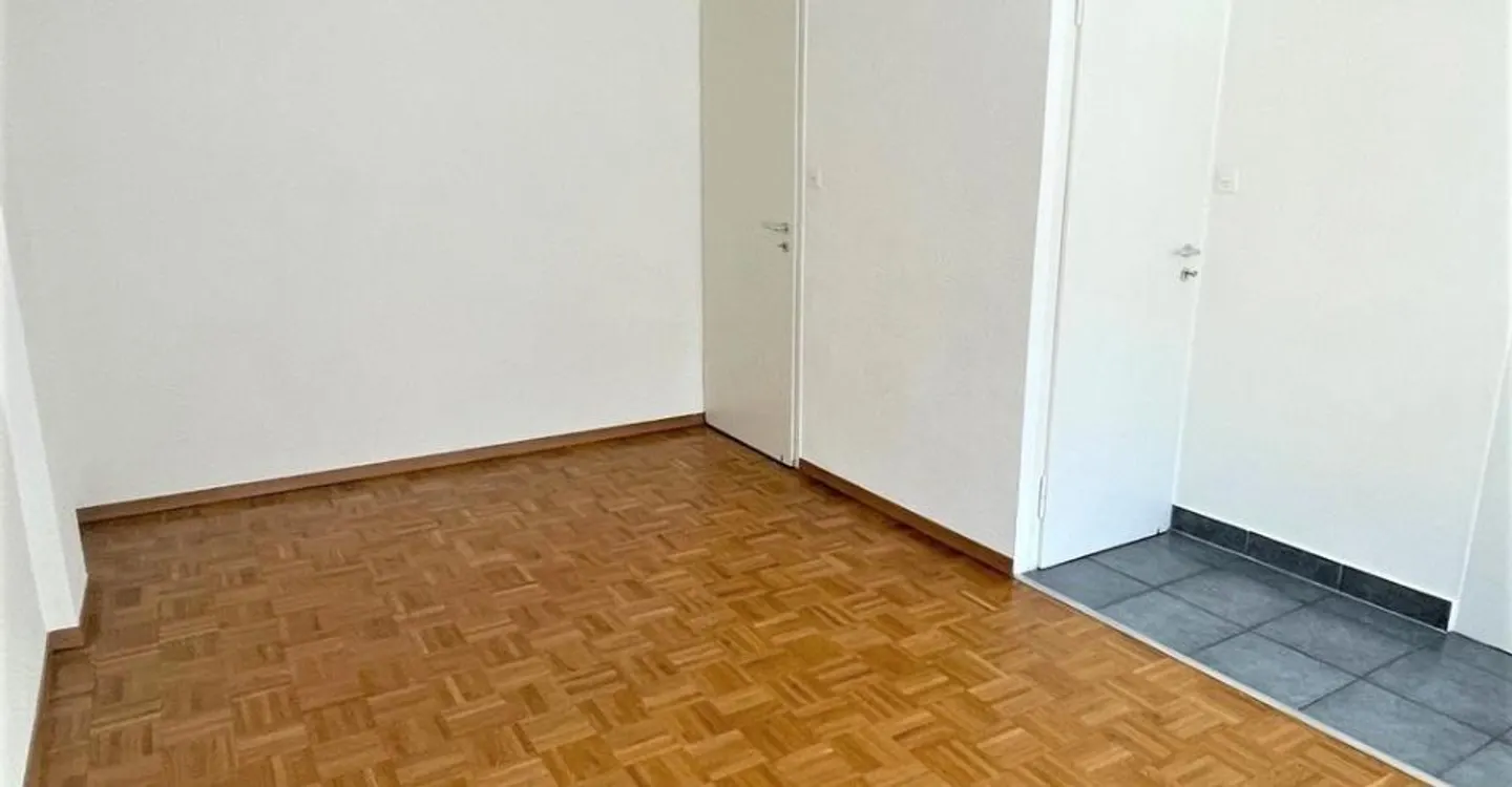 Eaux-Vives: schöne Wohnung mit Balkon - Foto 5 von 11
