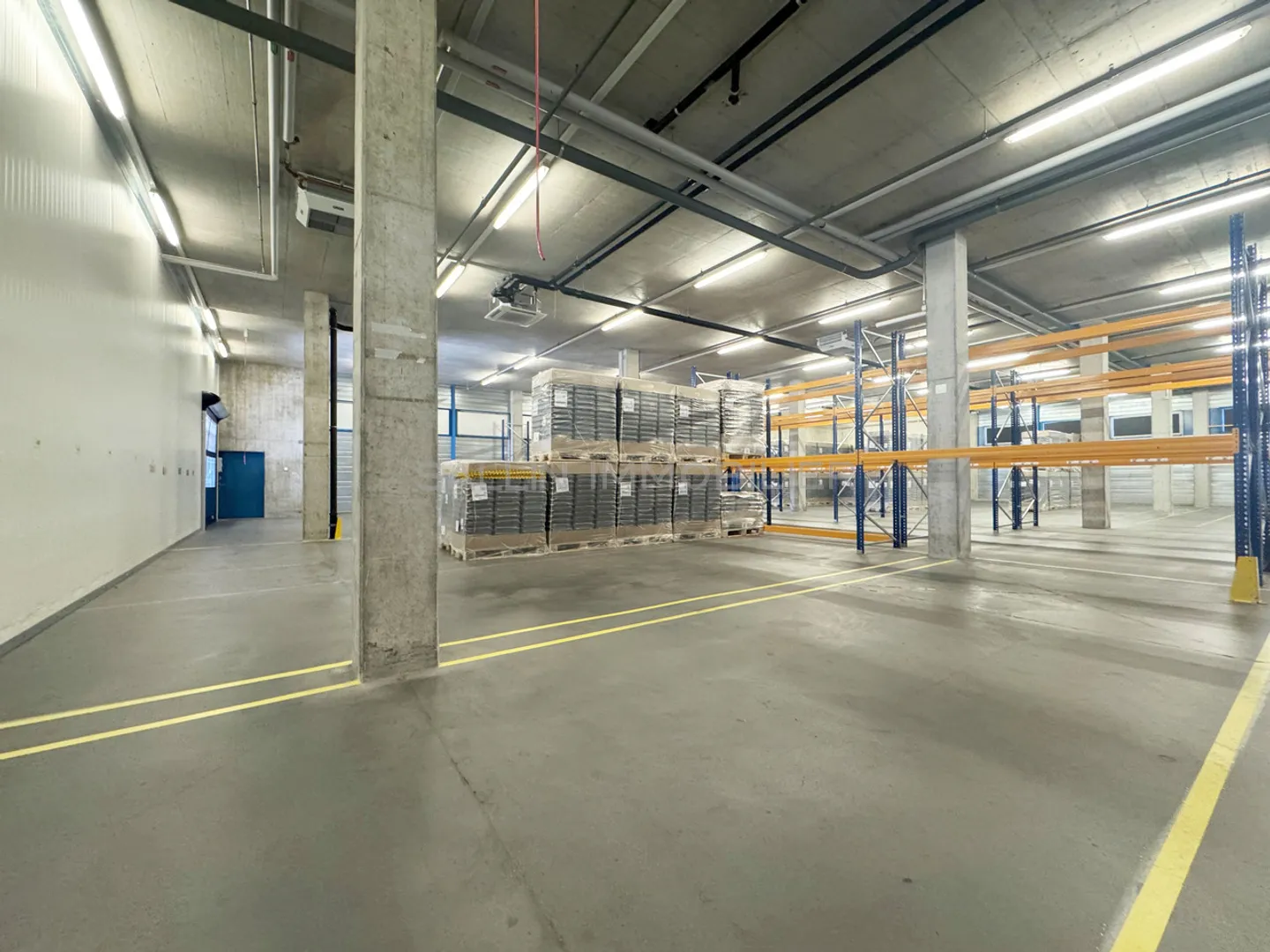 Magazzino/Hall di circa 620 m², area di carico con rampe elevatrici - Foto 3 di 12