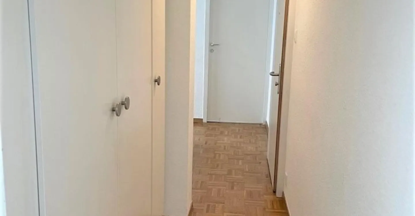 Eaux-Vives: schöne Wohnung mit Balkon - Foto 9 von 11