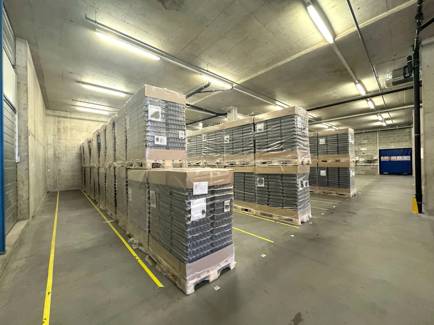 Magazzino/Hall di circa 620 m², area di carico con rampe elevatrici - Foto 8 di 12
