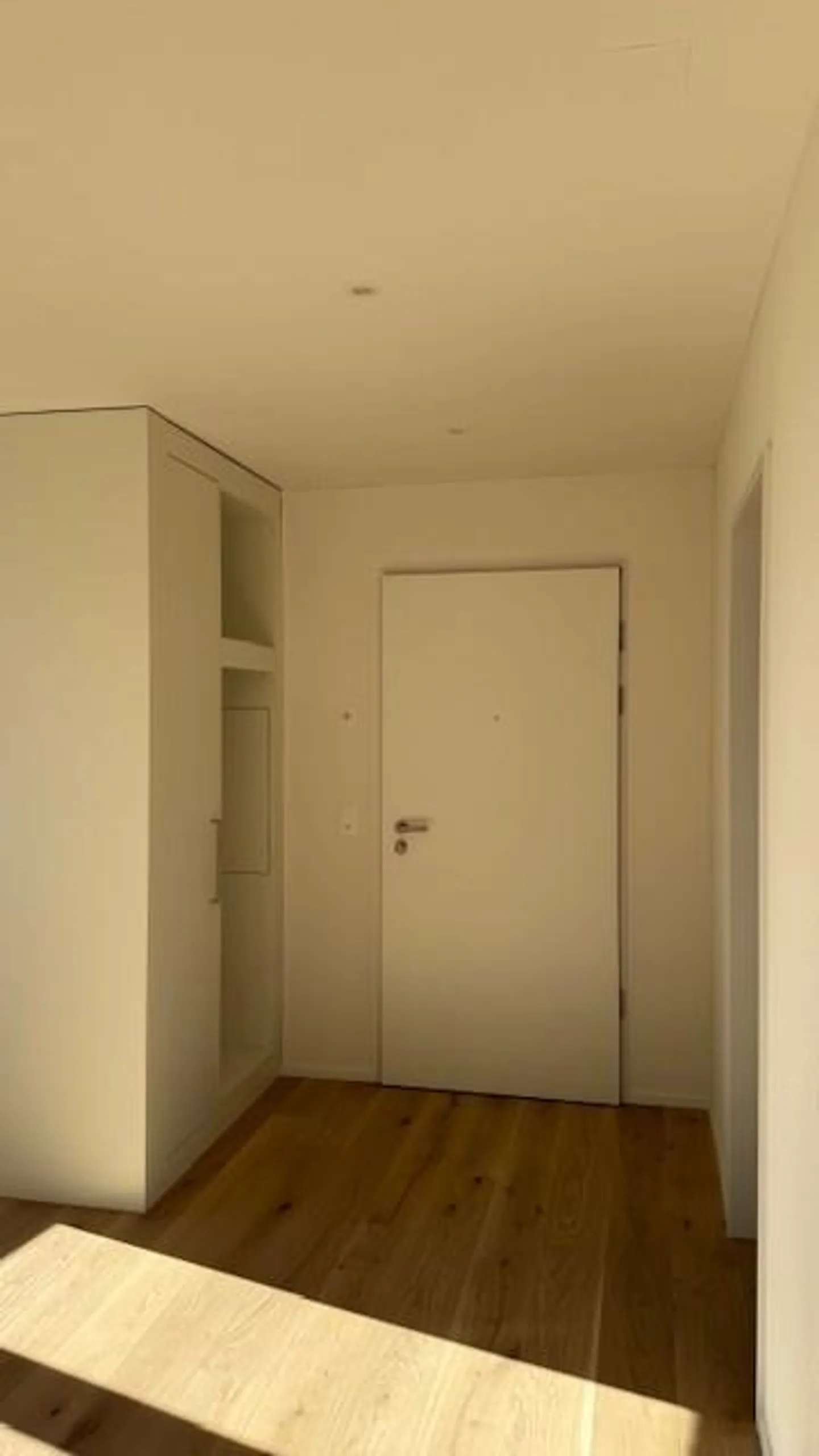 Nuovo edificio centrale a Weinfelden - Foto 3 di 7