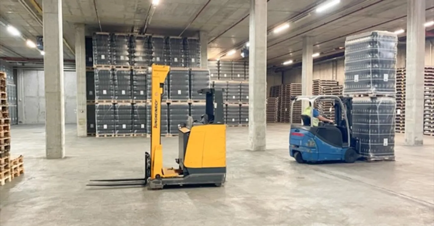 Einlage - Foto 2 von 4