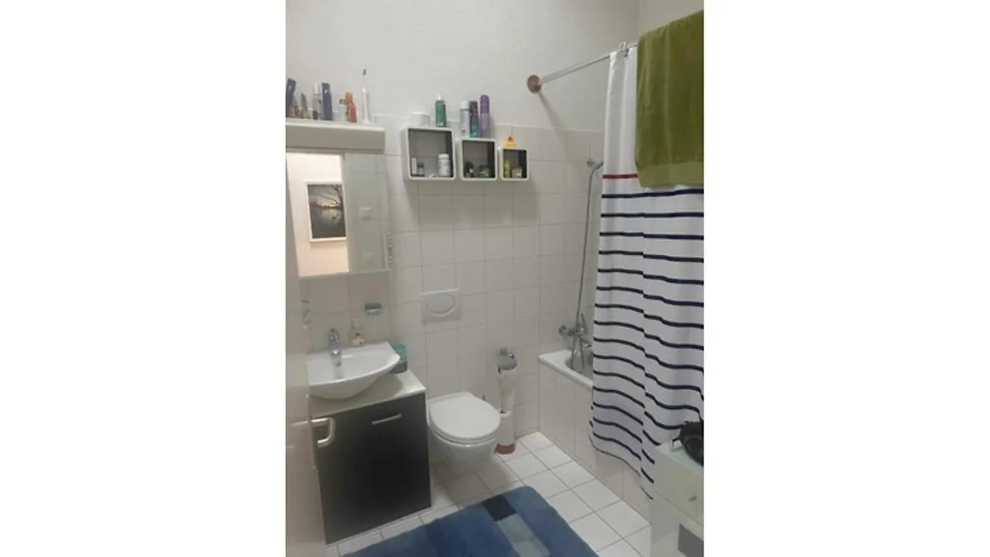 2½ ROOM APARTMENT IN BERN - ALTENBERG, FURNISHED, TEMPORARY - Photo 5 of 6