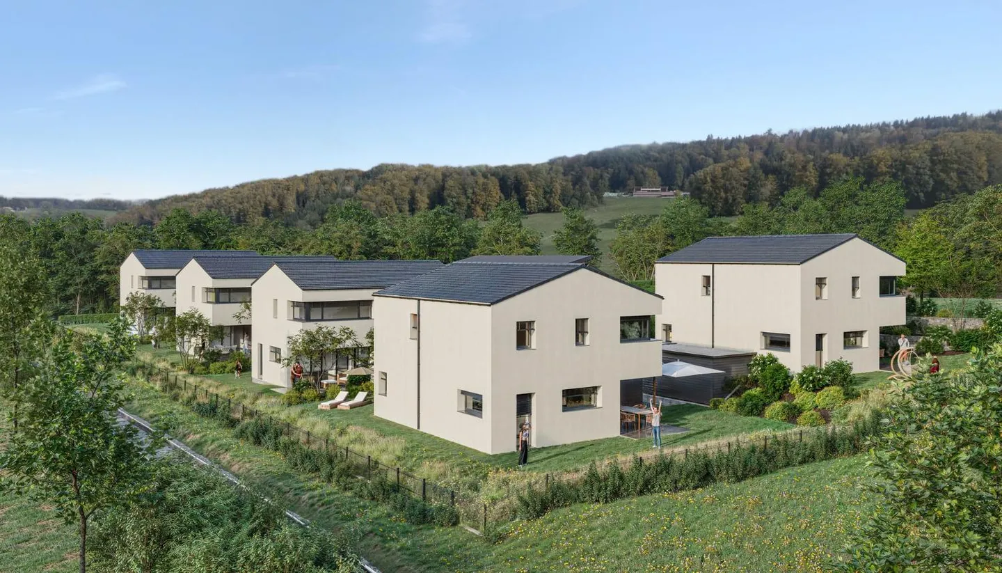 Villas modernes à Remaufens - Photo 4 sur 11