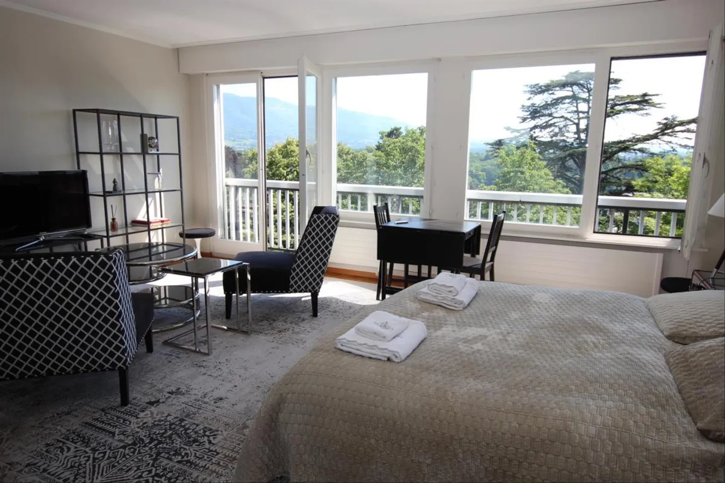 Charming Studio in Champel - Photo 5 of 6