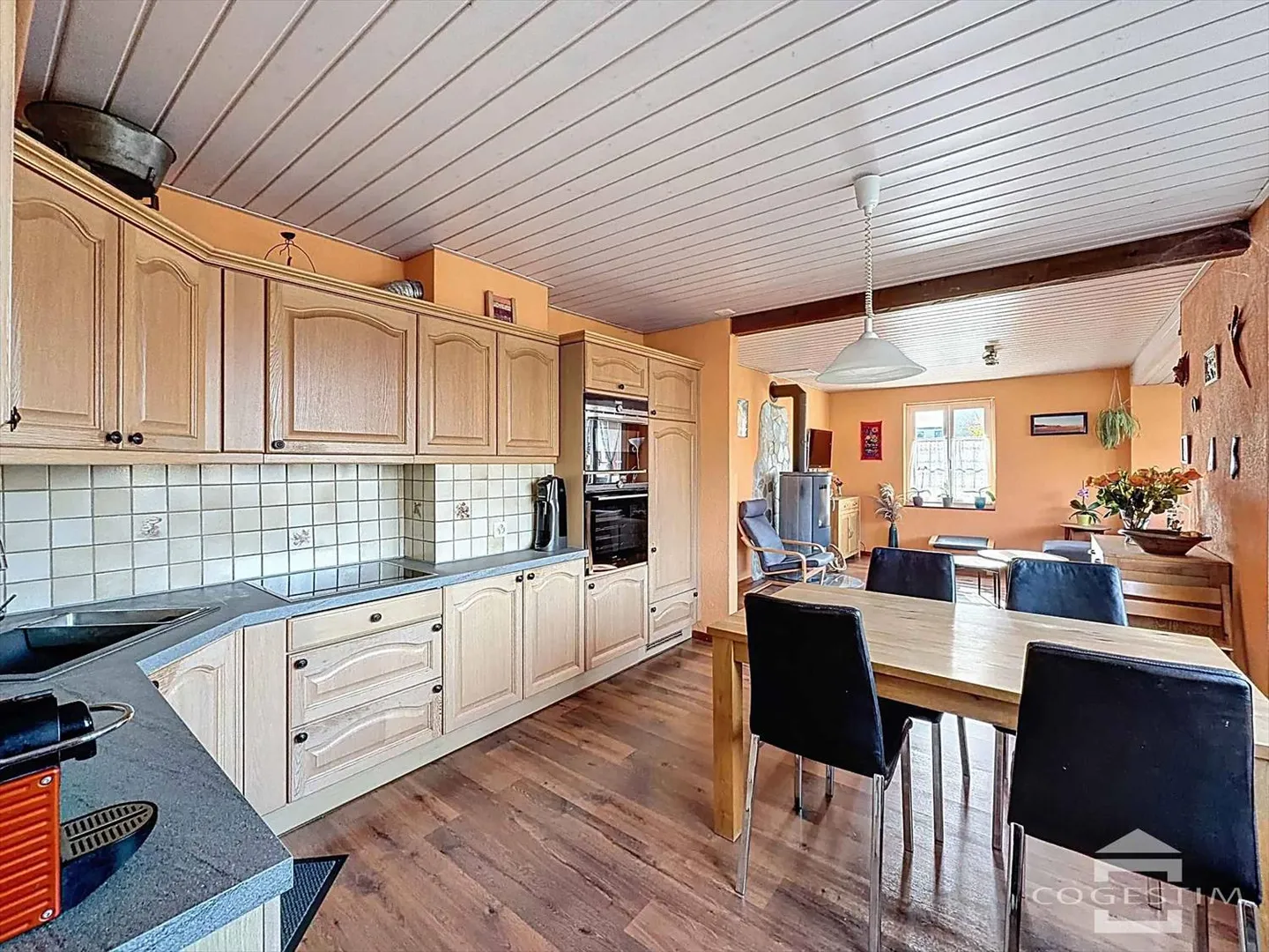 Villa 5.5 pièces - Photo 3 sur 13