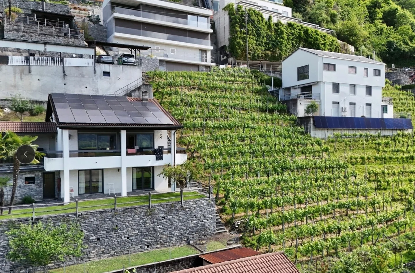 Terrain à bâtir avec vue panoramique à Gordola - Photo 4 sur 6