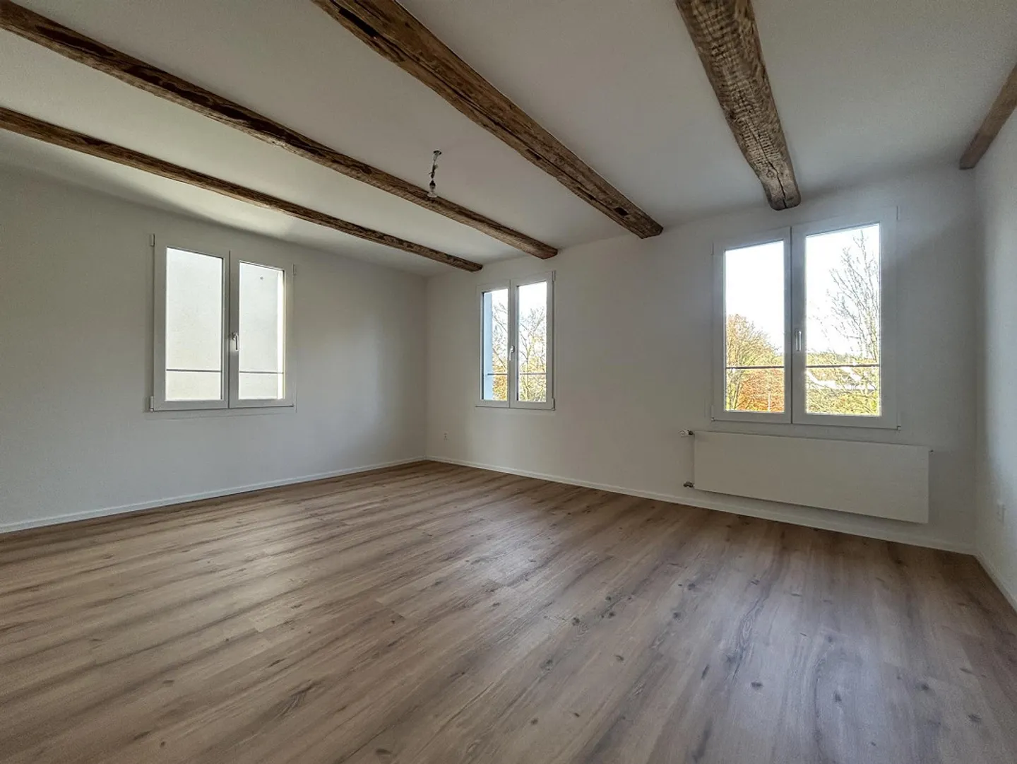 Modern home with a separate apartment - Photo 6 of 15