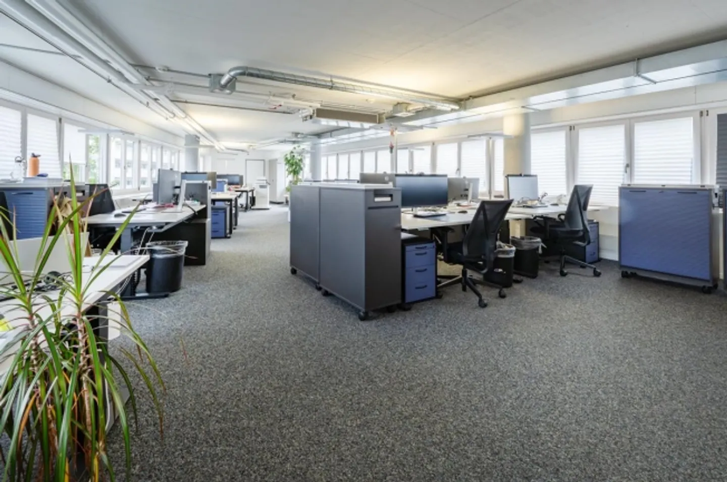 Spazio ufficio in affitto - Foto 5 di 5