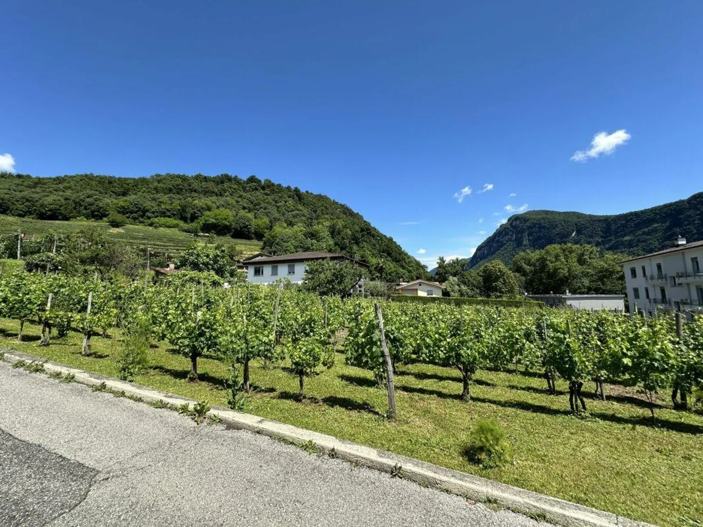 À vendre terrain constructible intéressant de 1902 m², dans une position s... - Photo 3 sur 4