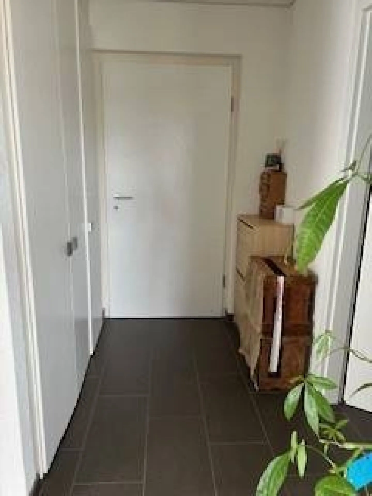 Appartamento 2.5 locali a Corcelles-près-Payerne - Foto 5 di 6