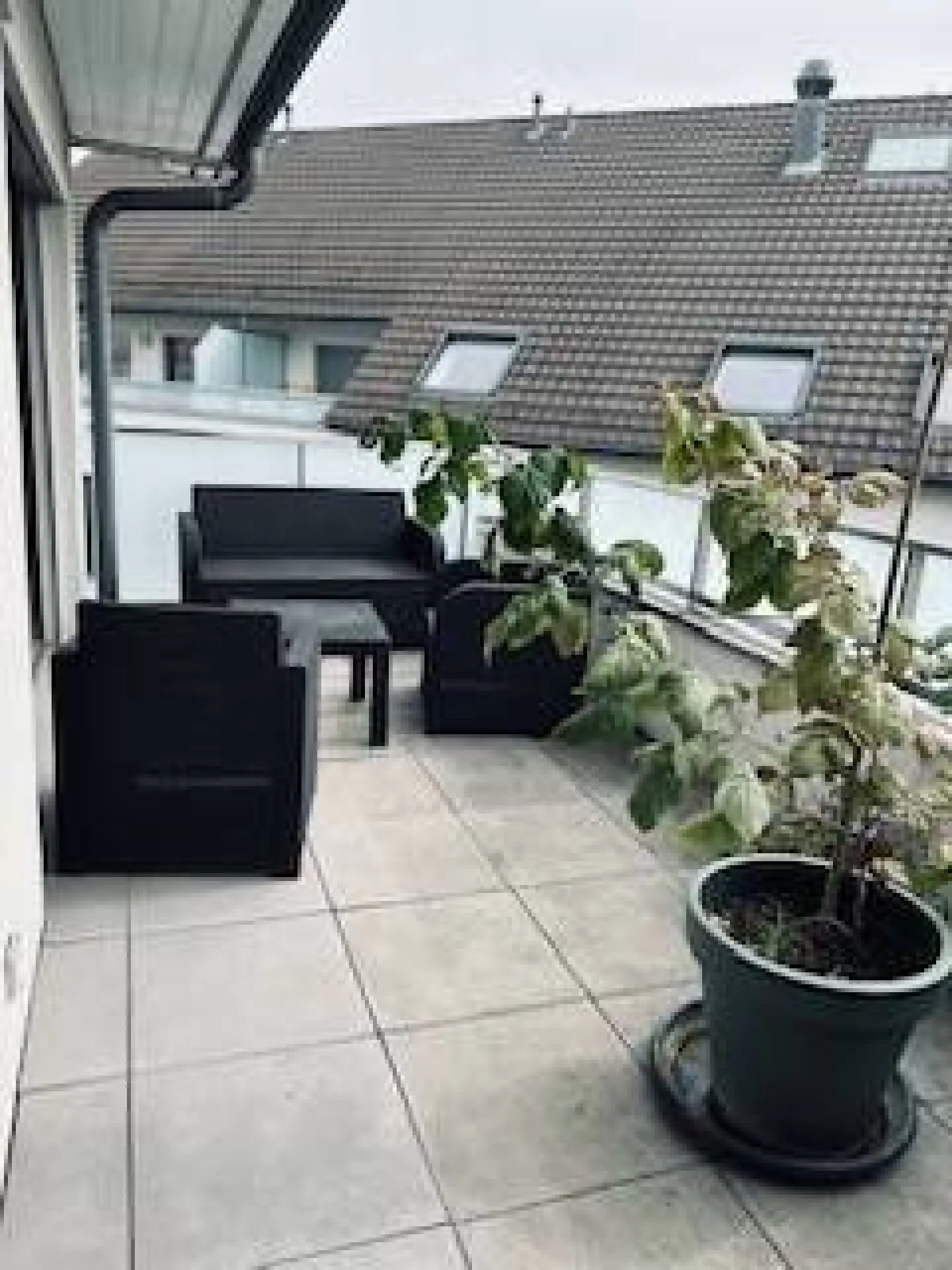 Appartamento 2.5 locali a Corcelles-près-Payerne - Foto 6 di 6